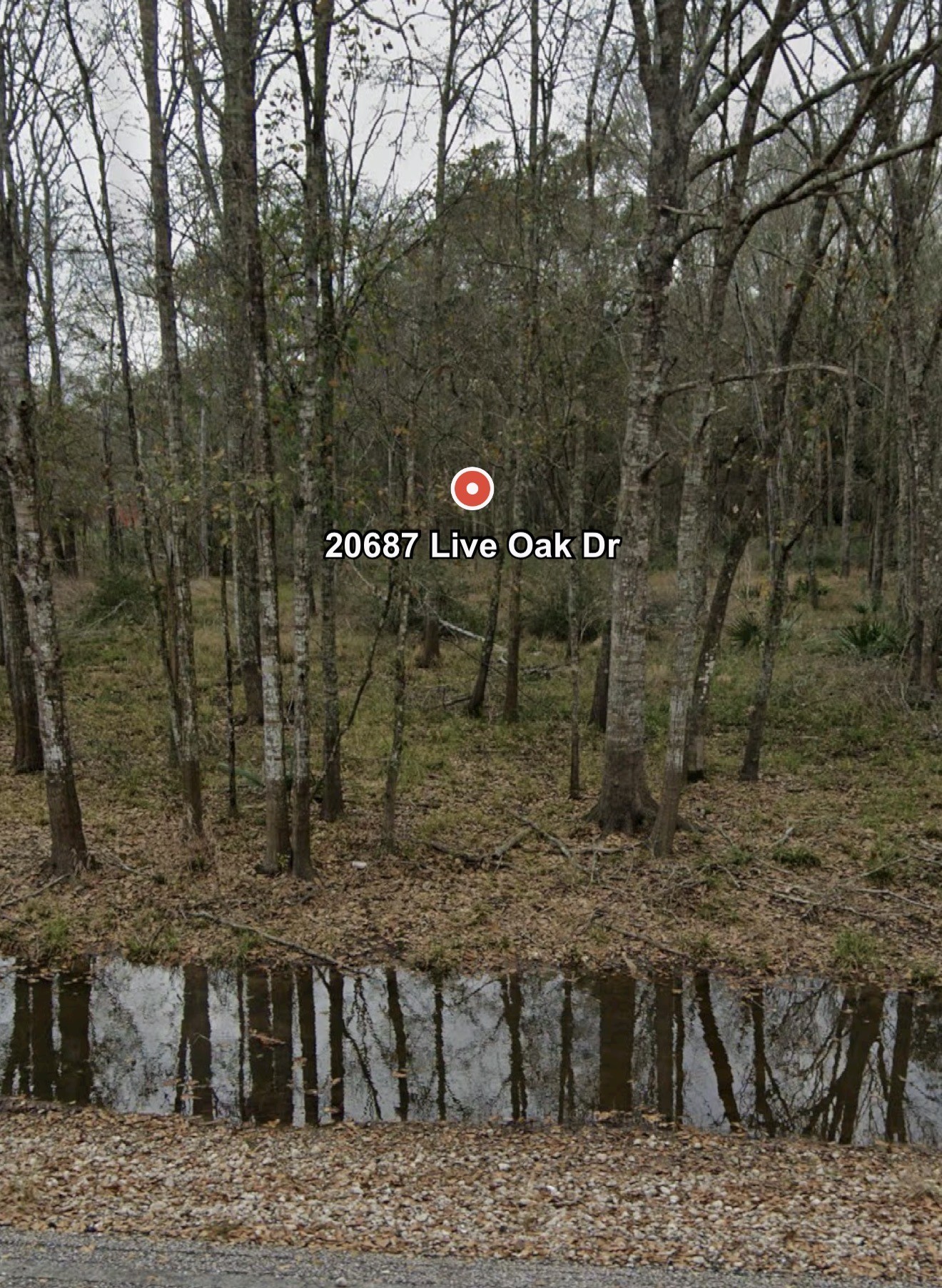 20687 Live Oak Drive Property Photo 8
