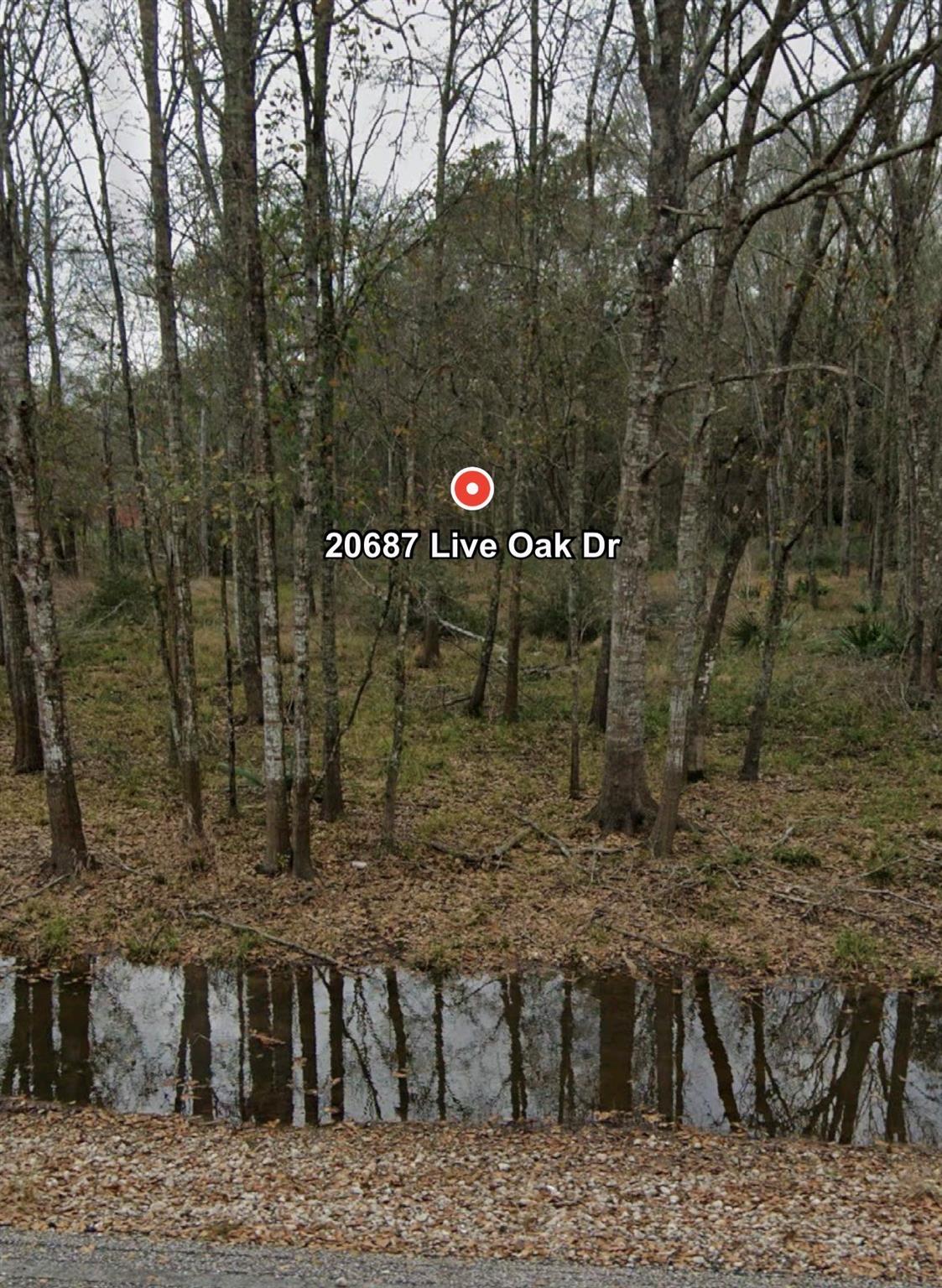 20687 Live Oak Drive Property Photo 8