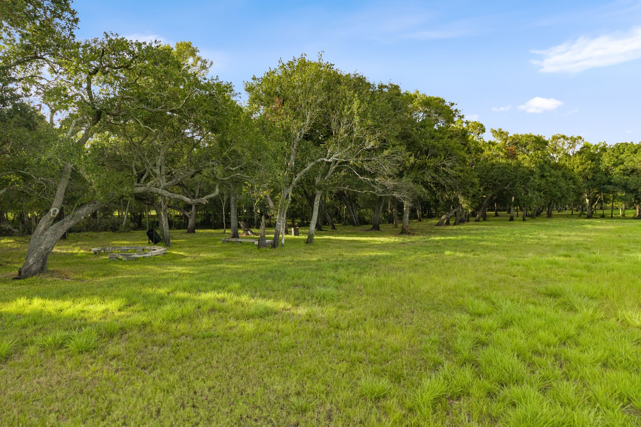 8145 Fm-1462 Property Photo 9