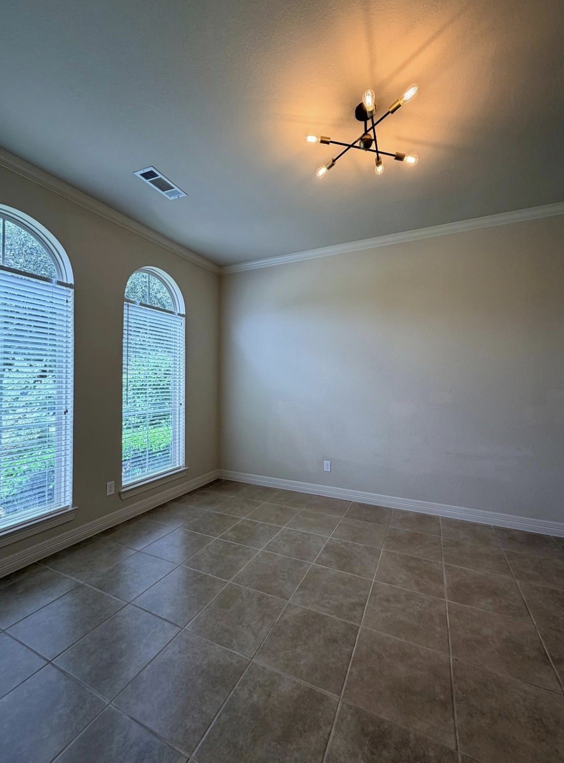 5423 Lachlan Springs Lane Property Photo 6