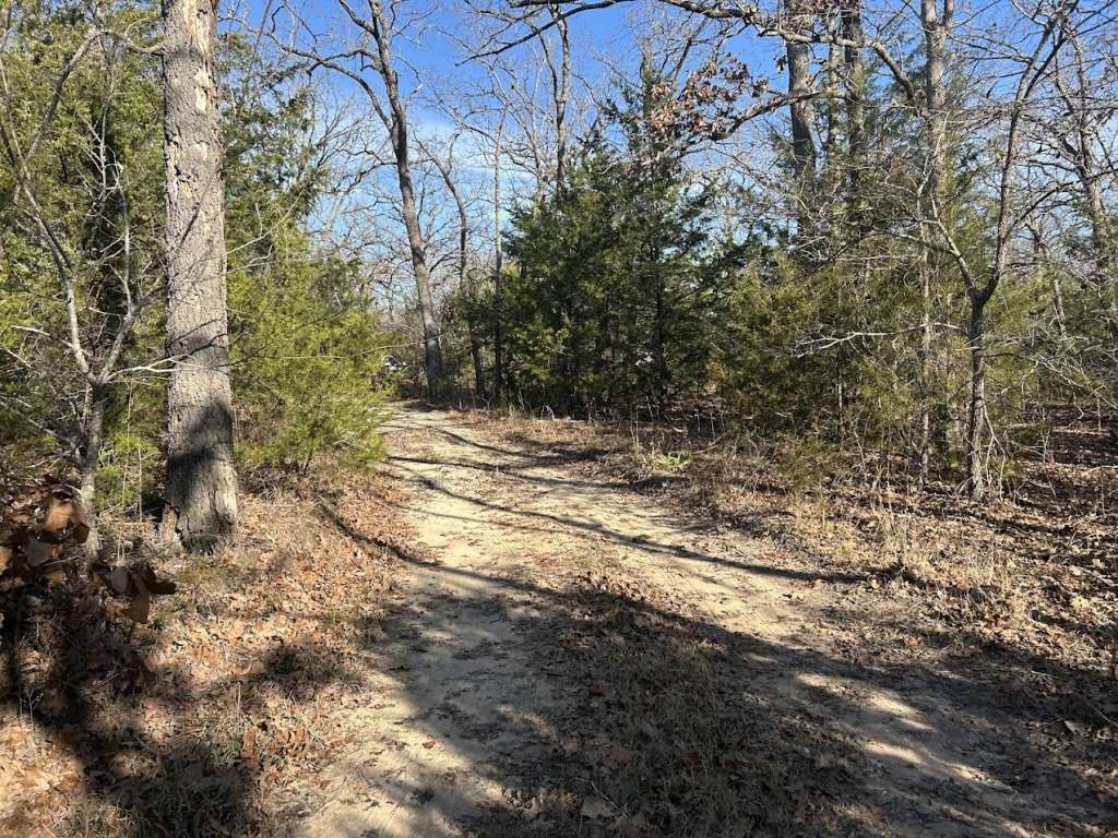 0 Lots 782-783, 786-787 Faye Property Photo