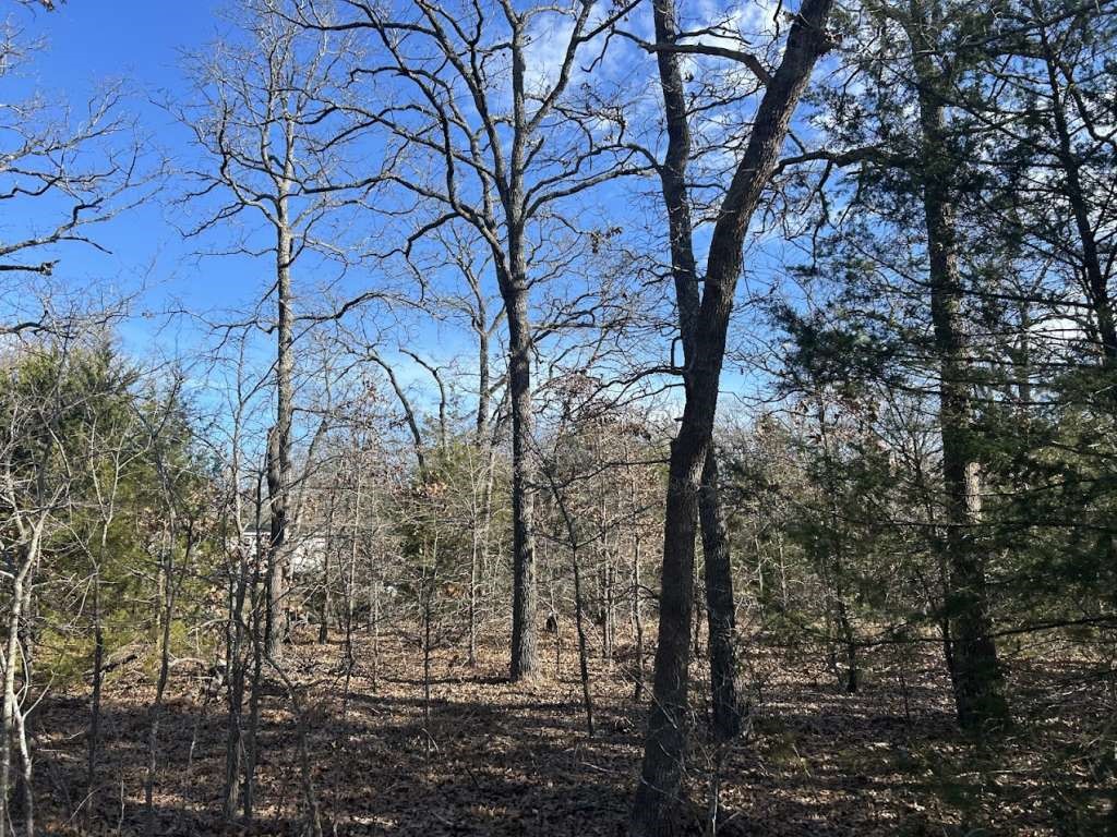 0 Lots 782-783, 786-787 Faye Property Photo 2