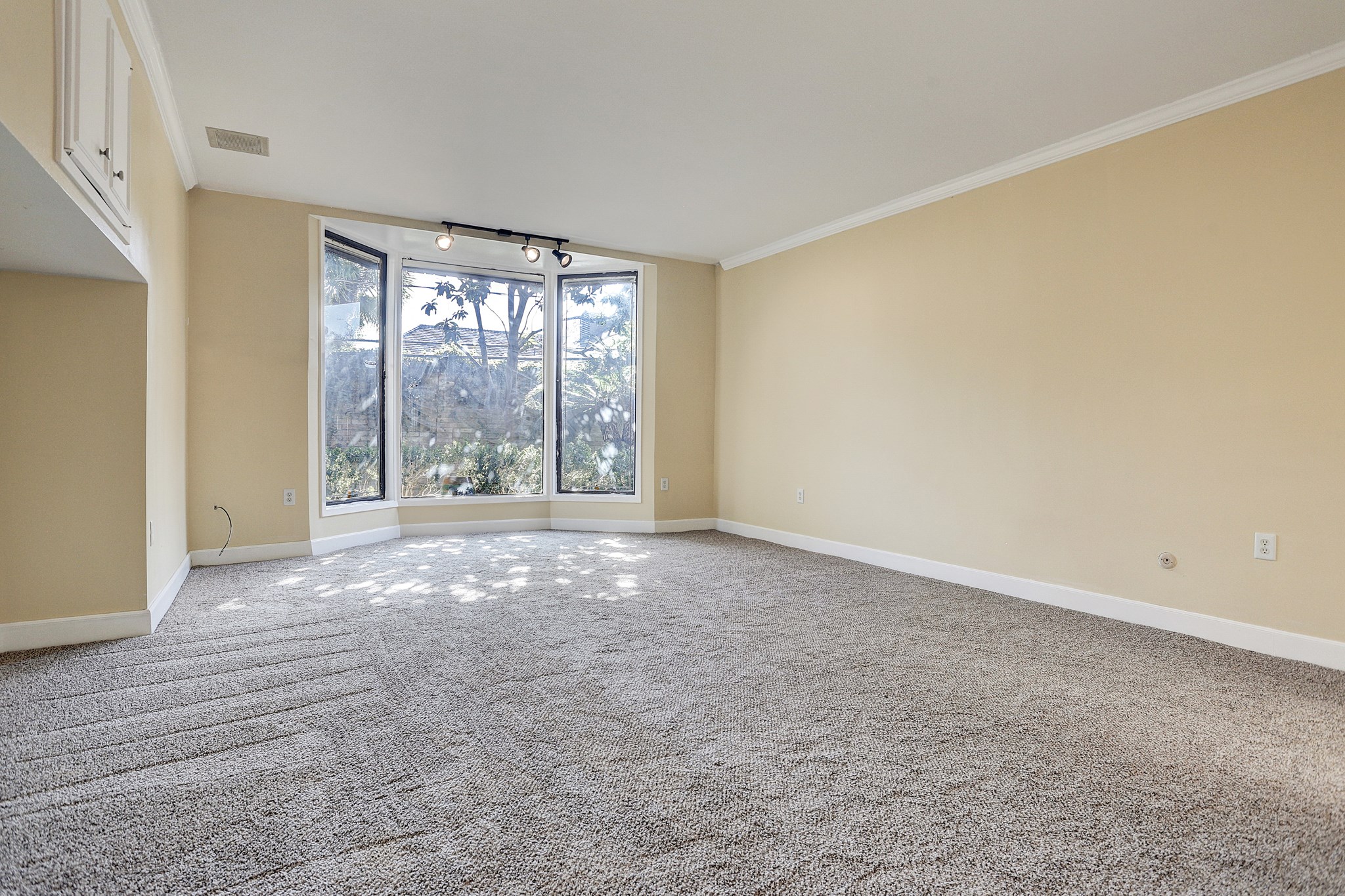 5203 Braesvalley Drive Property Photo 11