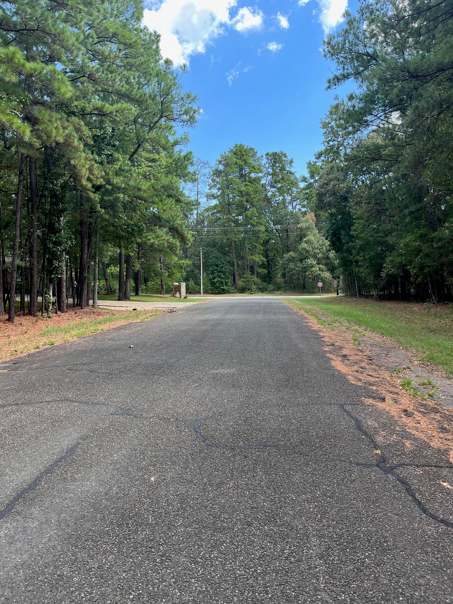 0 Pine Valley Property Photo 1