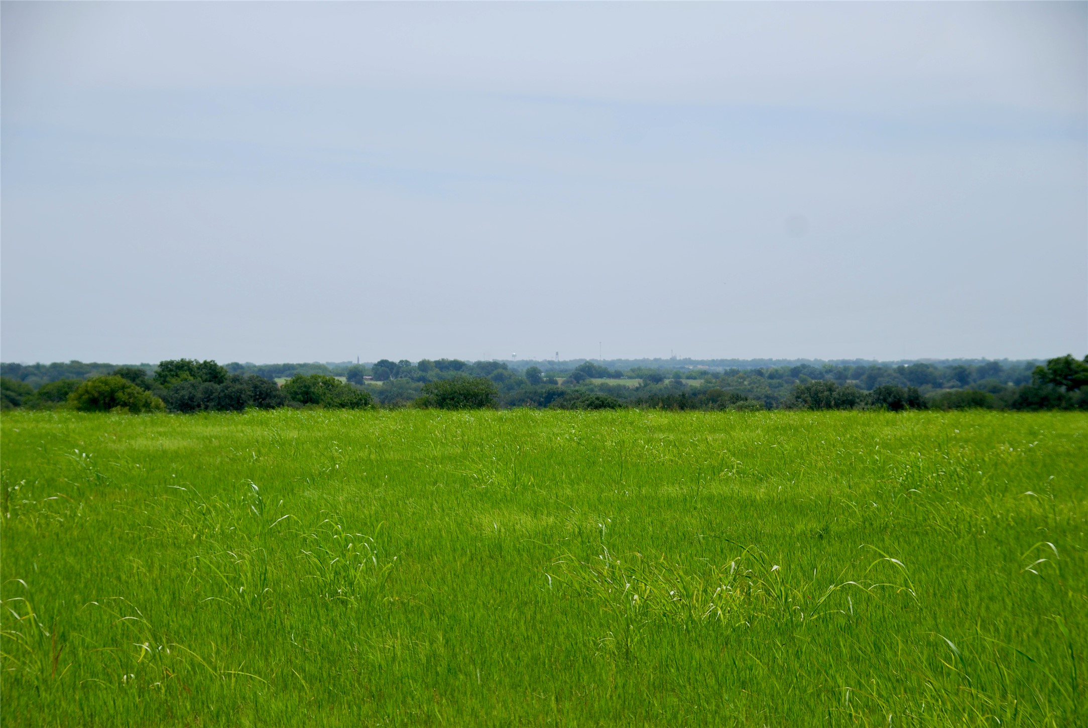 Tract 4 Company Field Road Property Photo 1