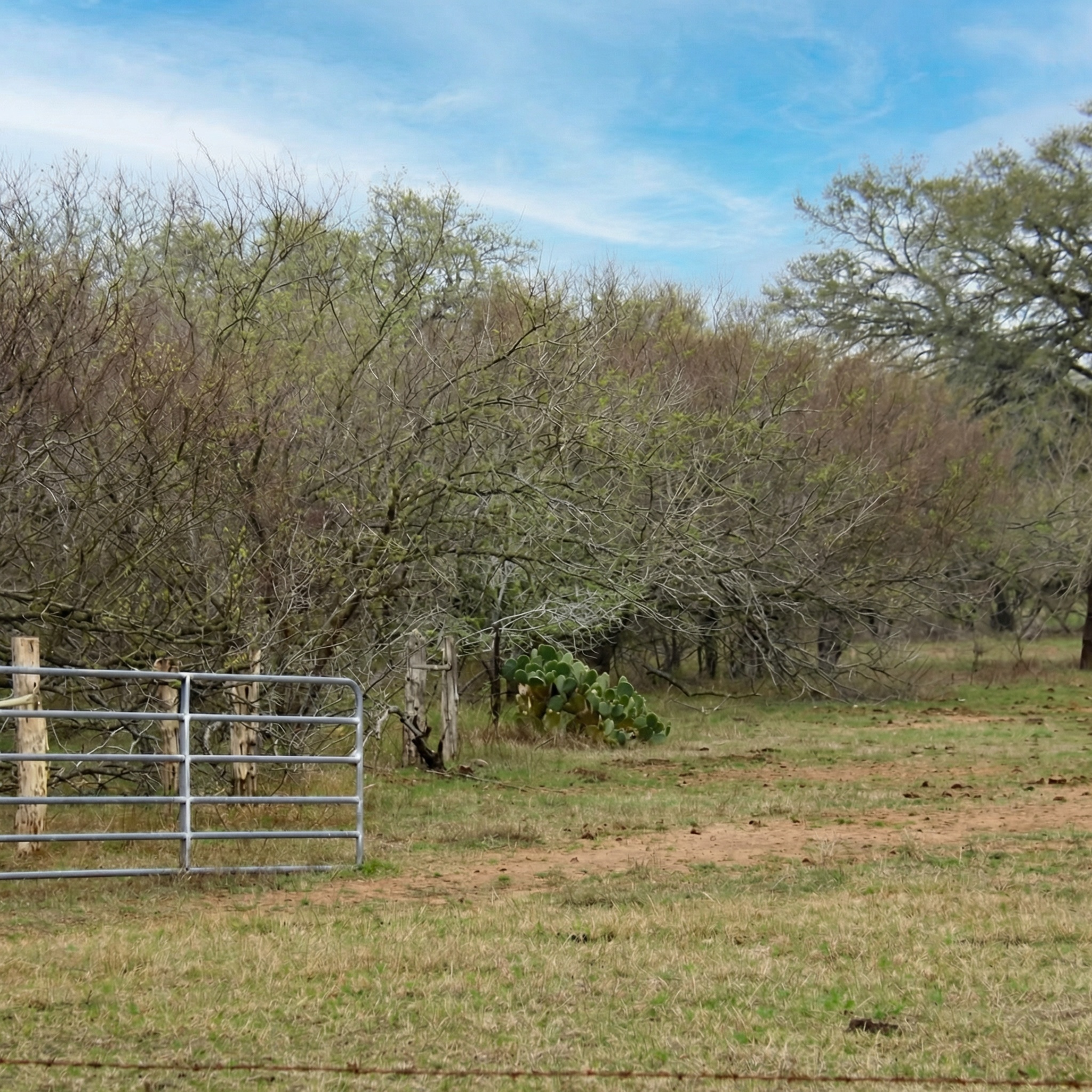 5020 Metting School Road Property Photo 1