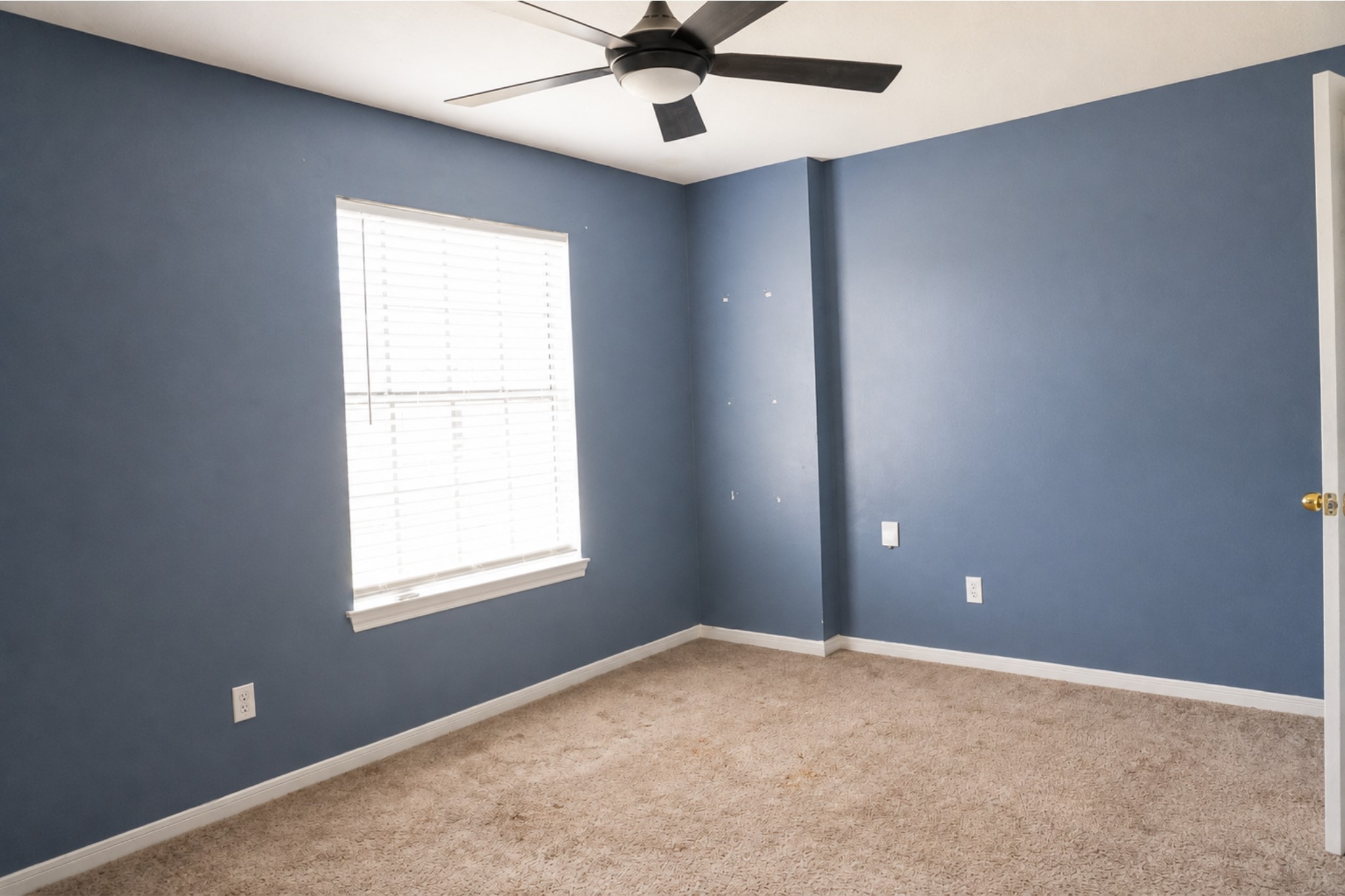 14423 Redbud Valley Trail Property Photo 18