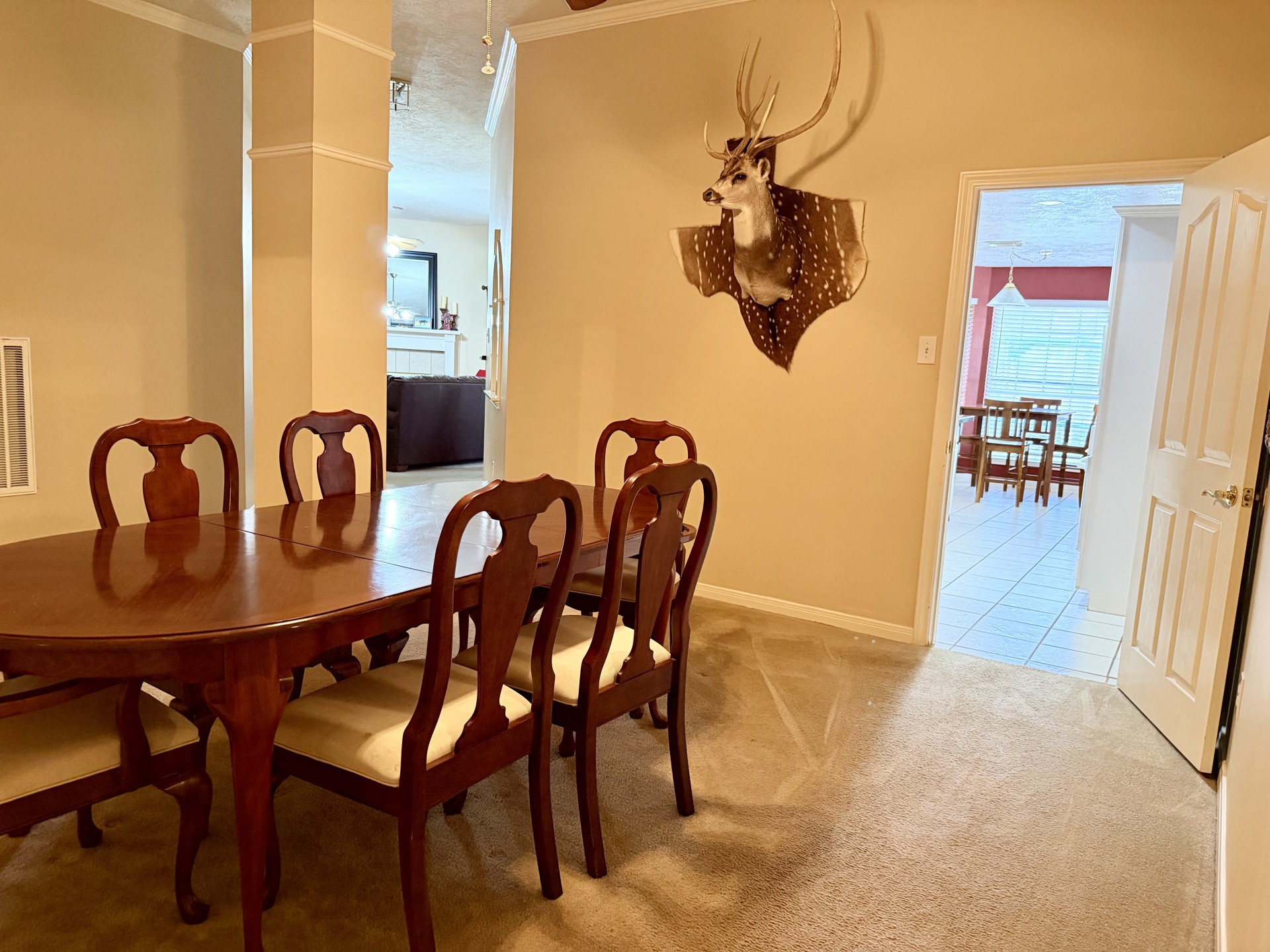3530 Dry Creek Drive Property Photo 8