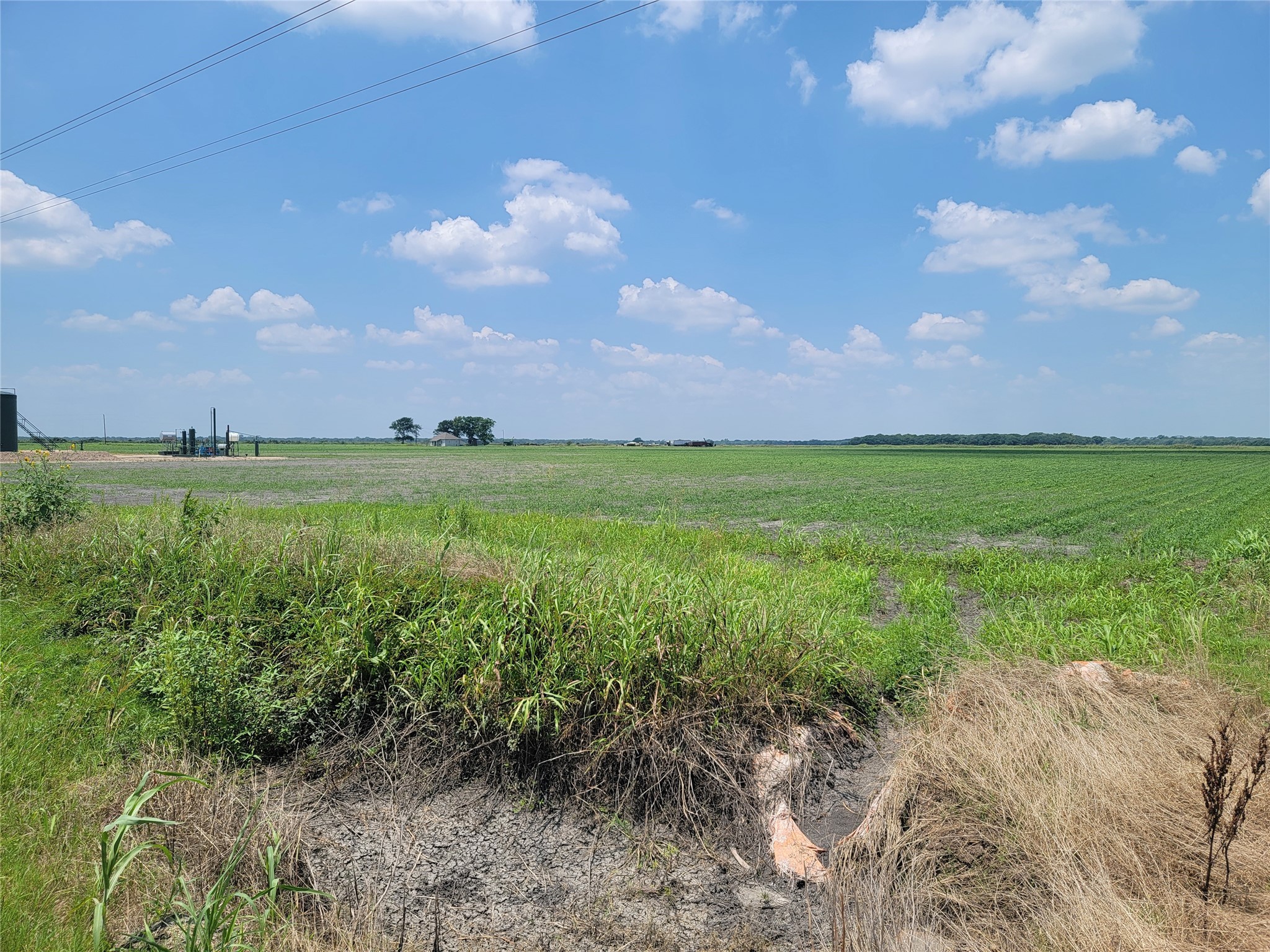 0 County Rd 319 Property Photo 2