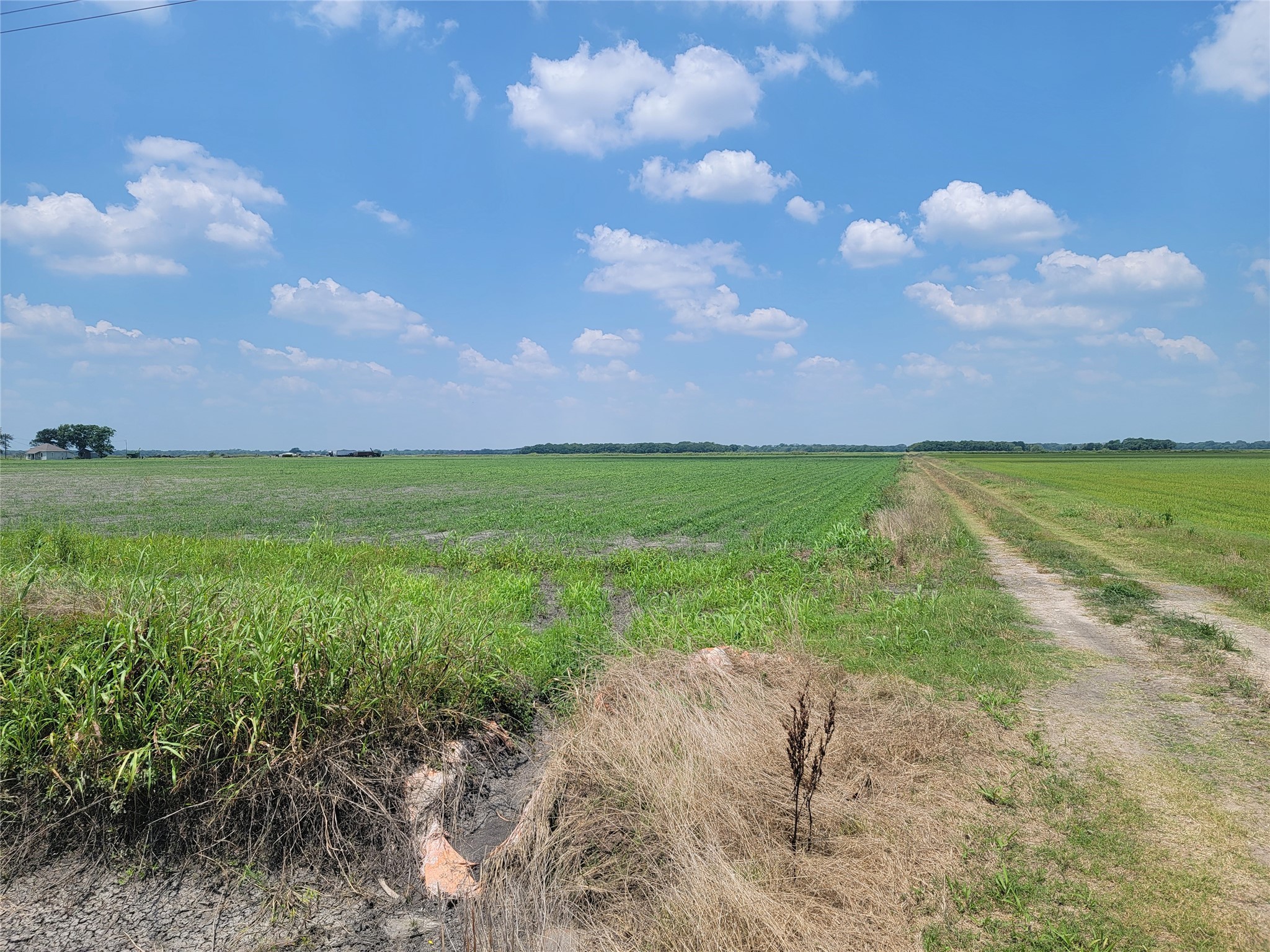 0 County Rd 319 Property Photo 3