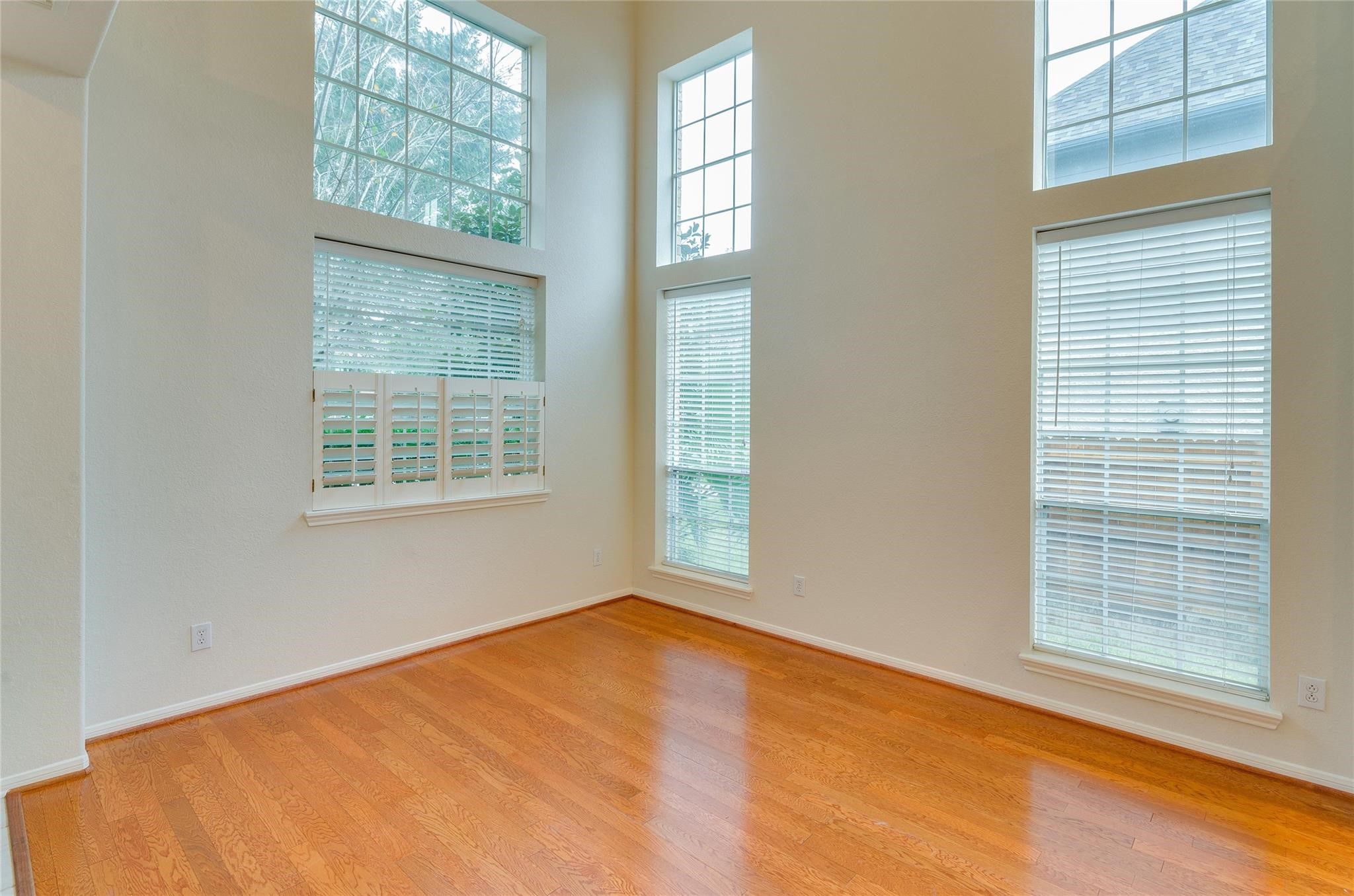 4019 Angel Springs Drive Property Photo 4