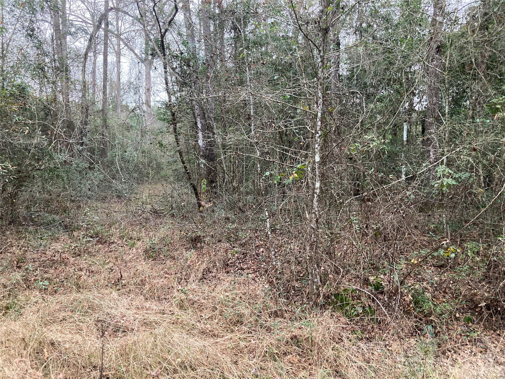 Tbd Davis Property Photo 1