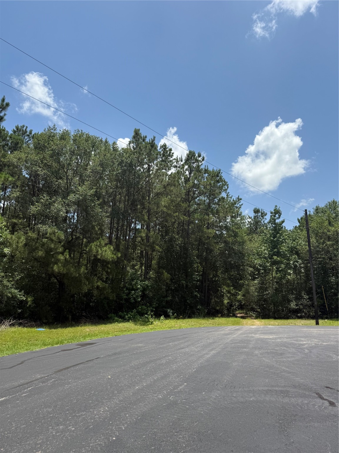 17647 Julianne Drive Property Photo 1