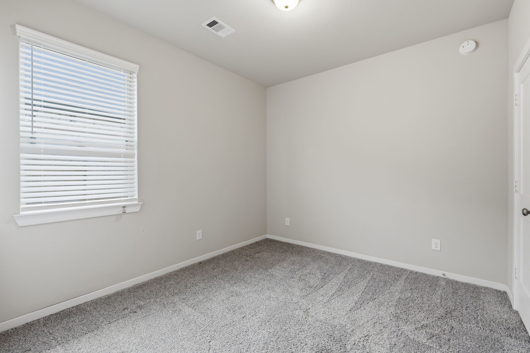 17766 Tree Of Heaven Property Photo 23
