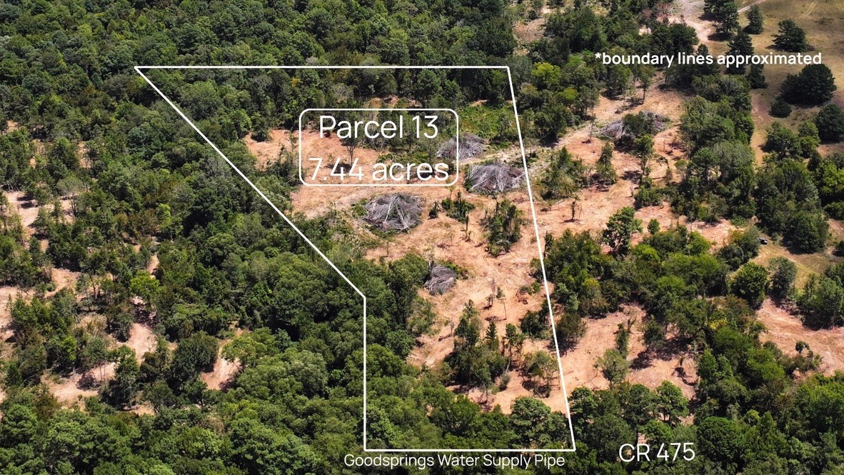 Tbd #13 County Road 475a Property Photo 1