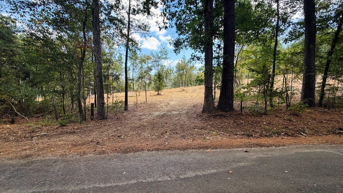 Tbd #13 County Road 475a Property Photo 3