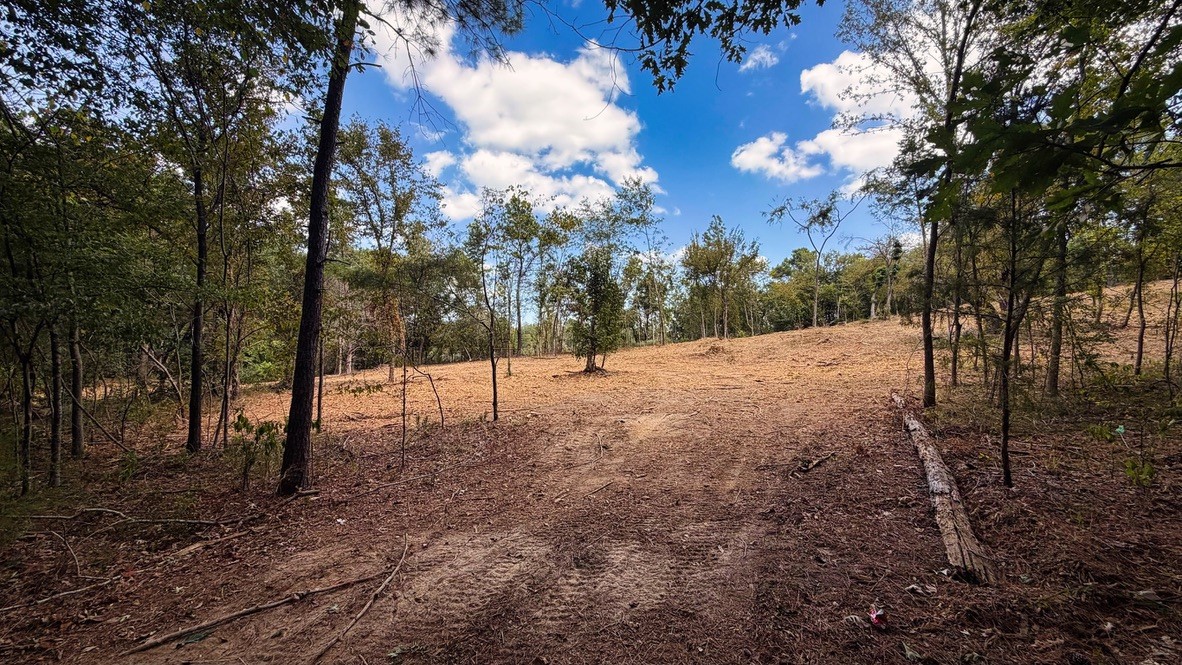 Tbd #13 County Road 475a Property Photo 4
