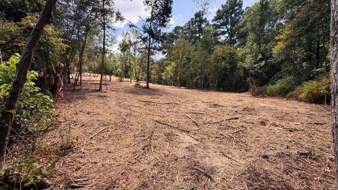 Tbd #13 County Road 475a Property Photo 8