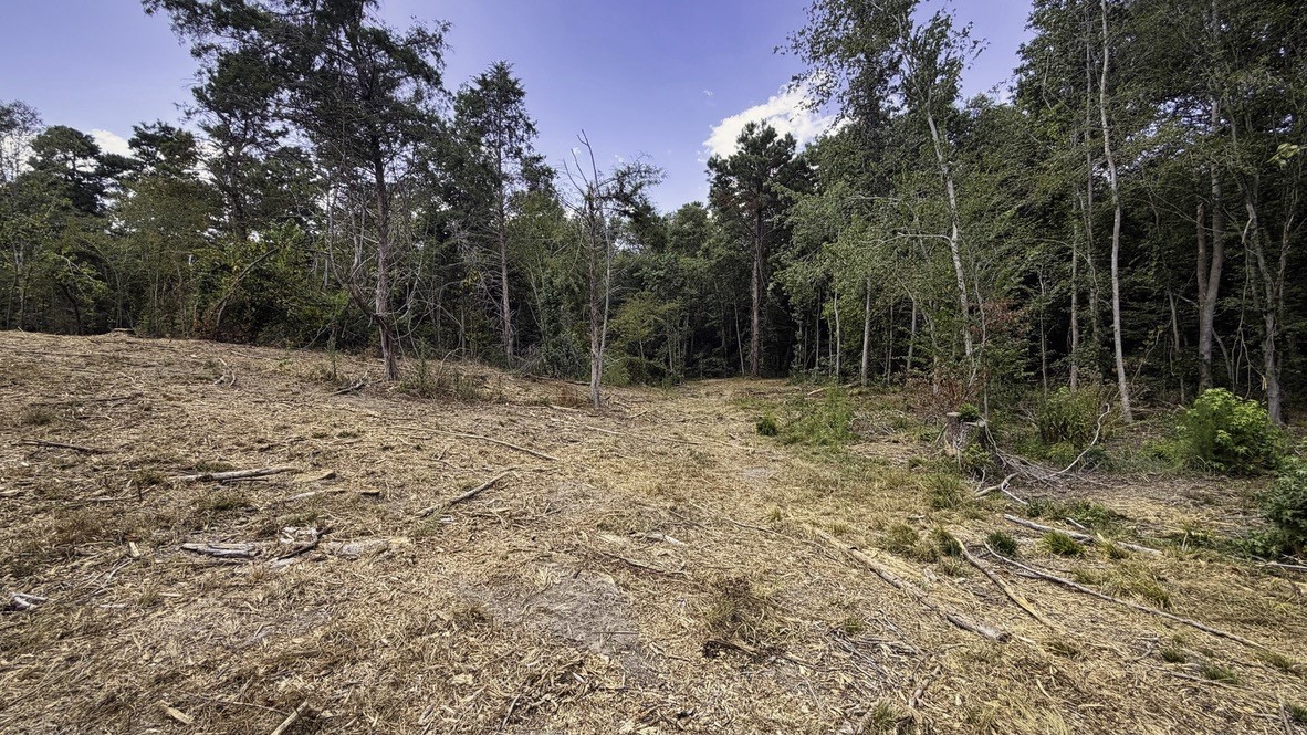 Tbd #13 County Road 475a Property Photo 15