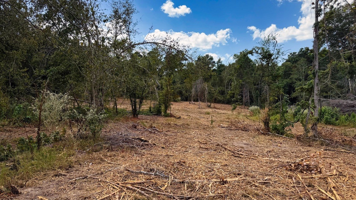 Tbd #13 County Road 475a Property Photo 16