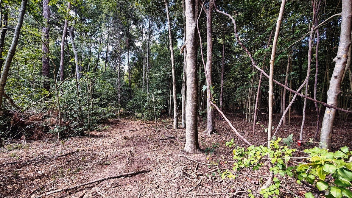 Tbd #13 County Road 475a Property Photo 20