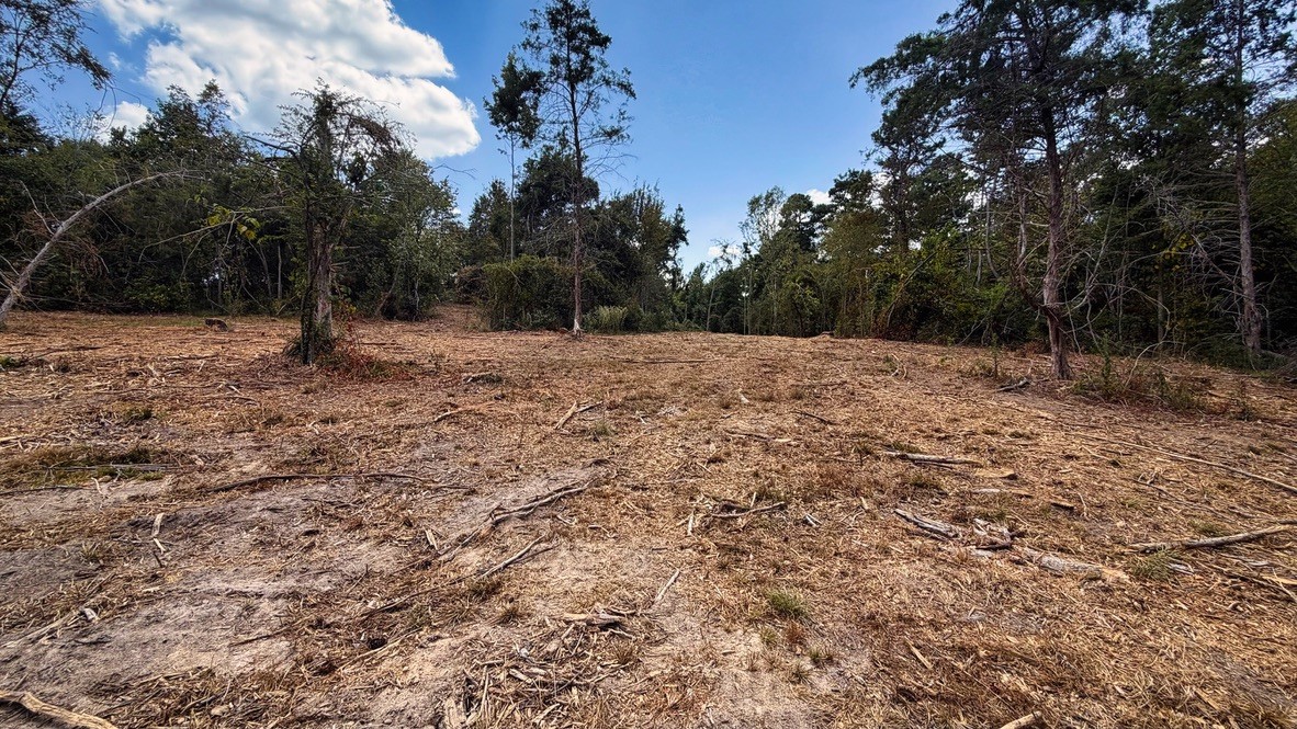 Tbd #13 County Road 475a Property Photo 23