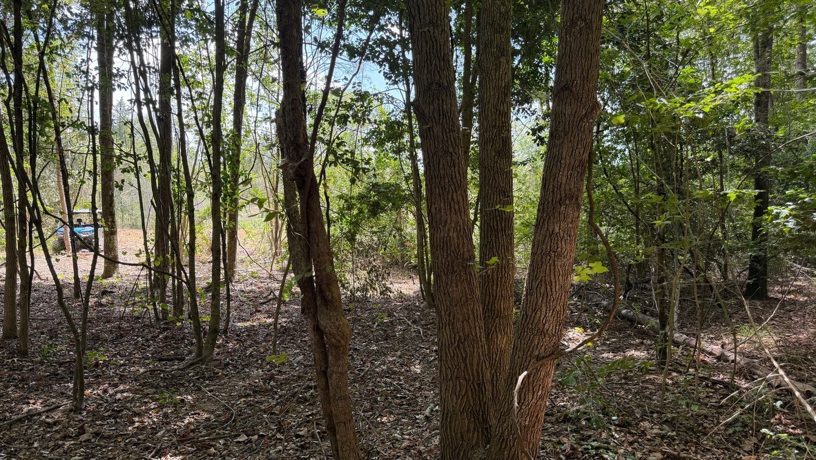 Tbd #13 County Road 475a Property Photo 32