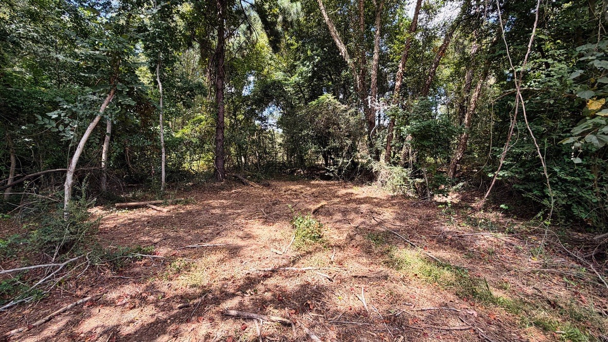 Tbd #13 County Road 475a Property Photo 34