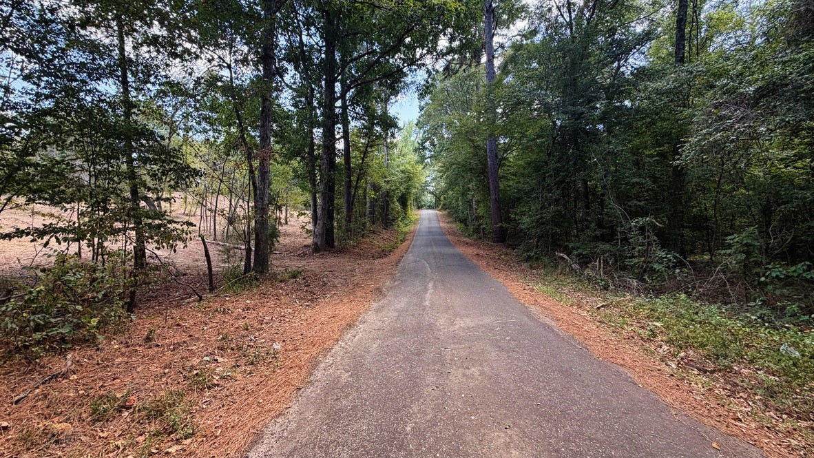 Tbd #13 County Road 475a Property Photo 37