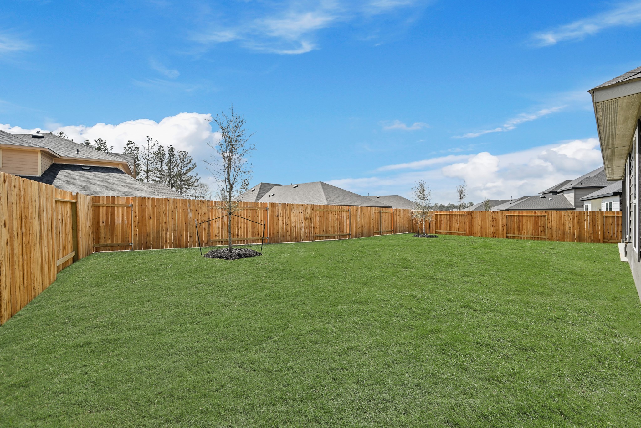4532 Iguaza Falls Drive Property Photo 23