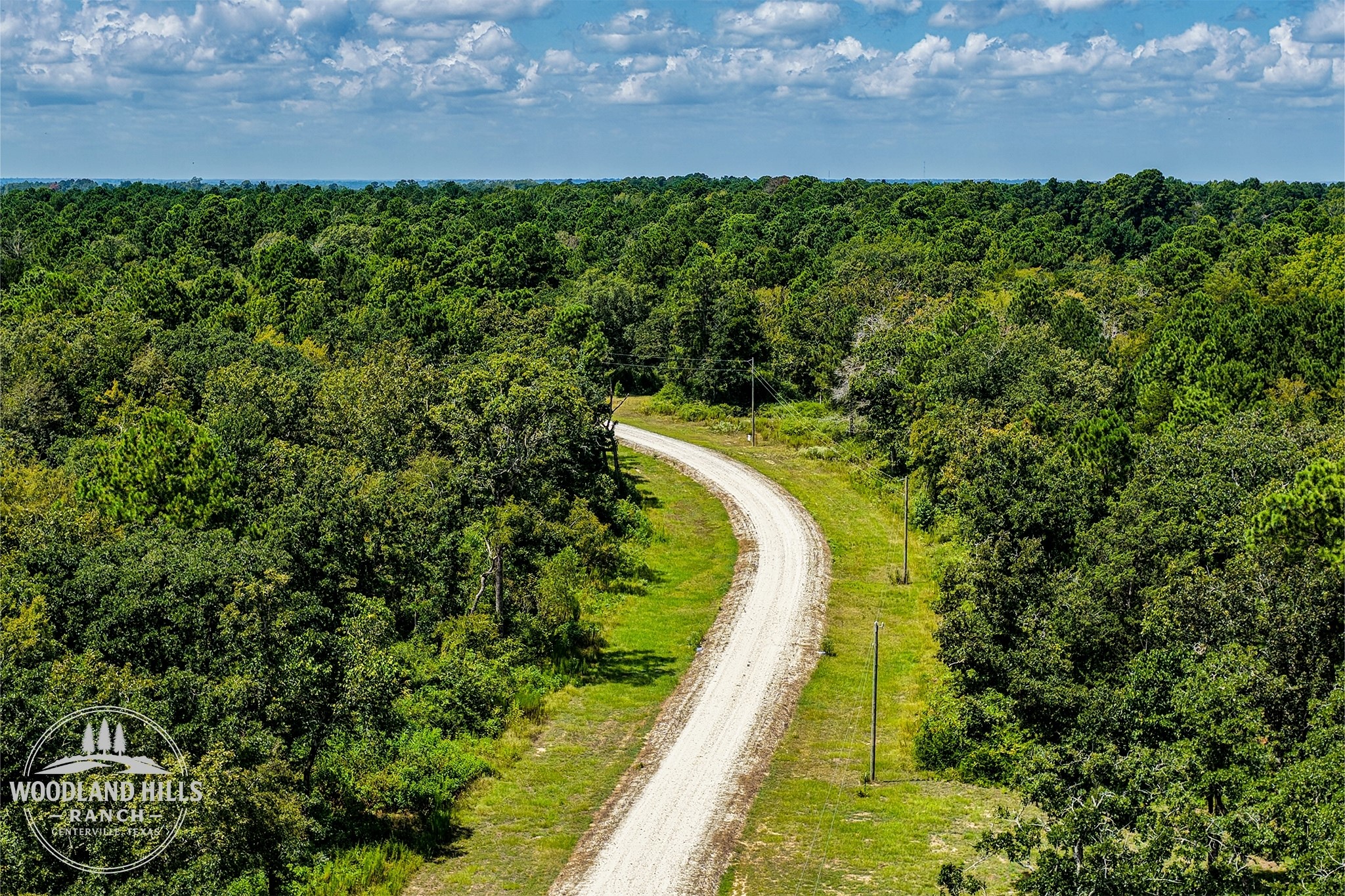 10 Acres Lot 81 Woodland Hills Ranch Property Photo 1