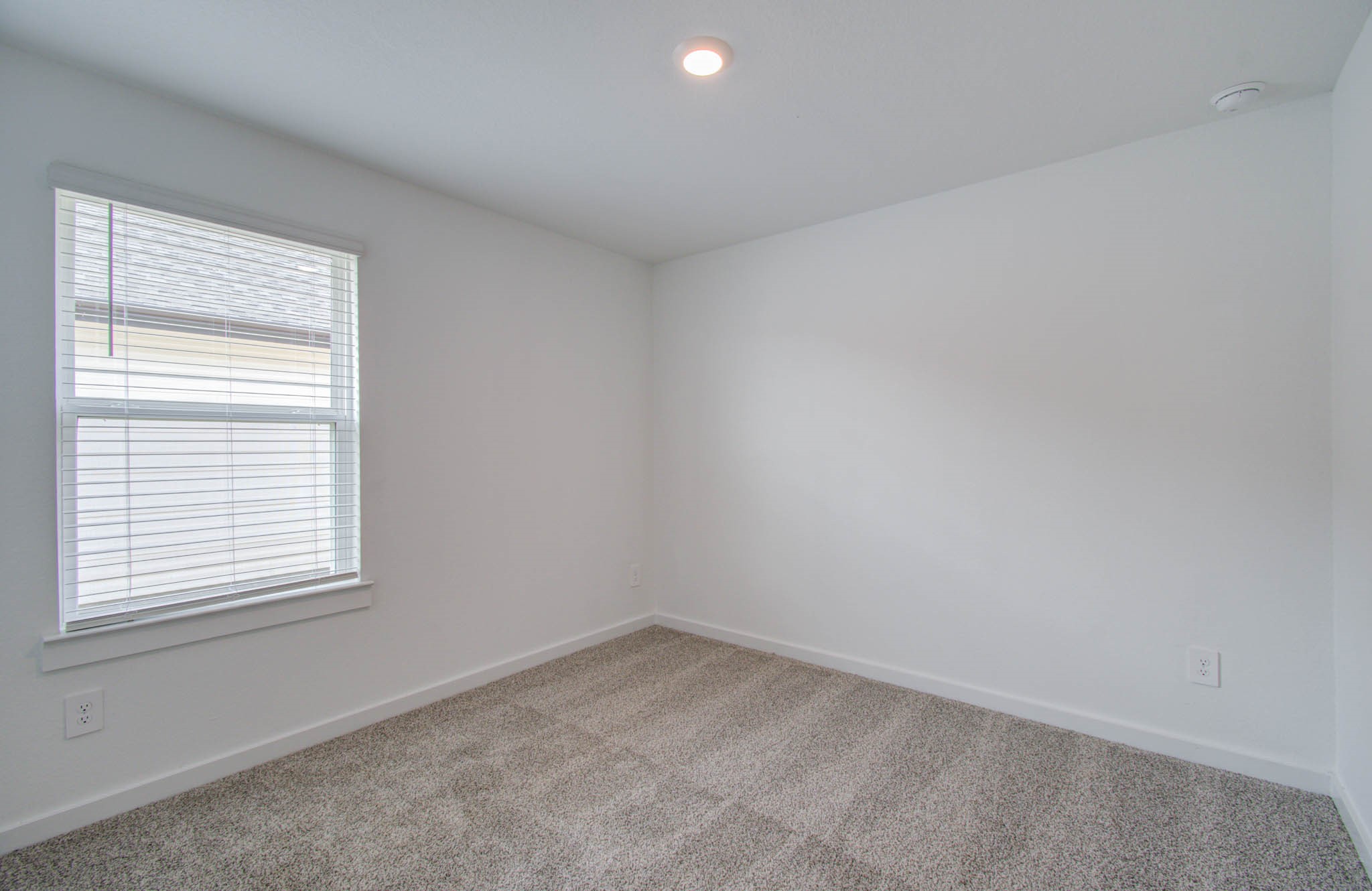 8922 Colicroot Drive Property Photo 5