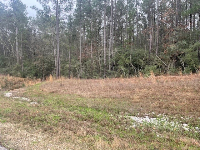 155 Copperleaf Road Property Photo 1