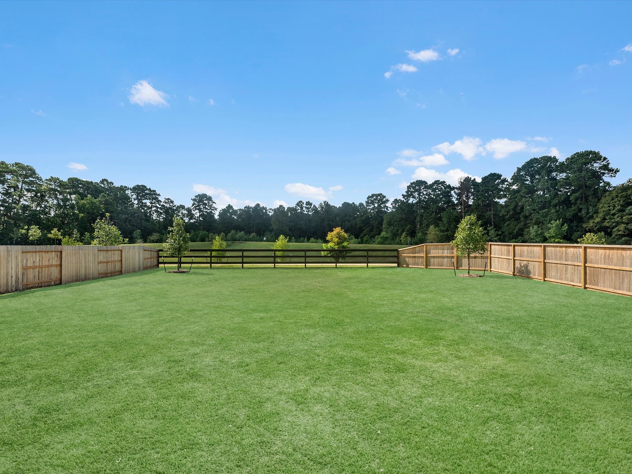 14327 Moonlit Creek Court Property Photo 20