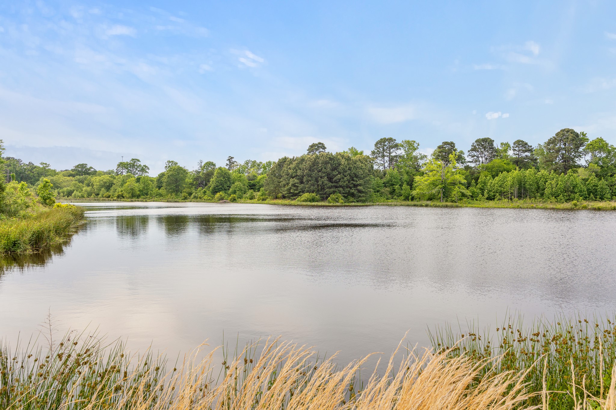 715 Crepe Myrtle Road Property Photo 1