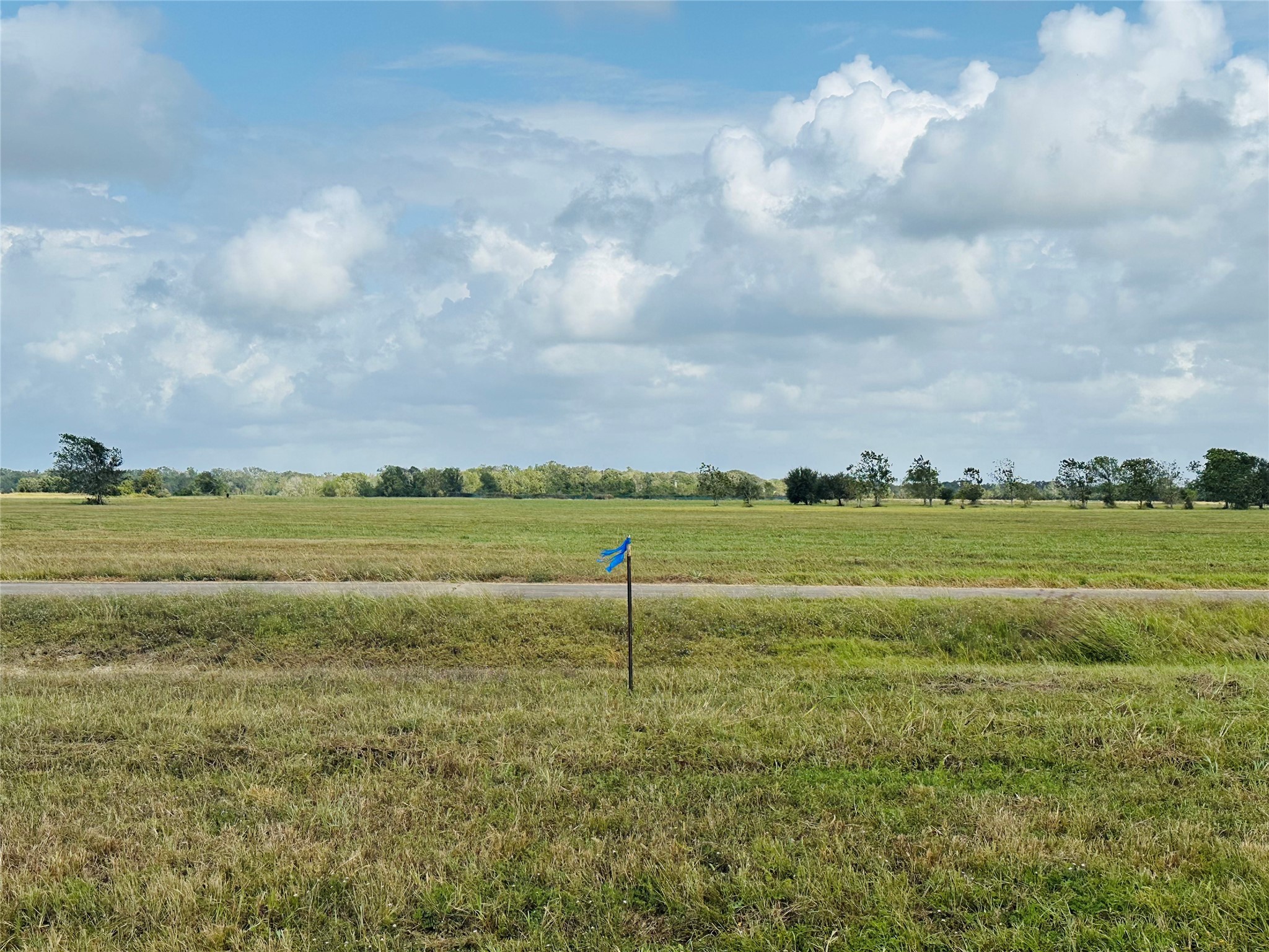 330 Sandy Trail Property Photo 5