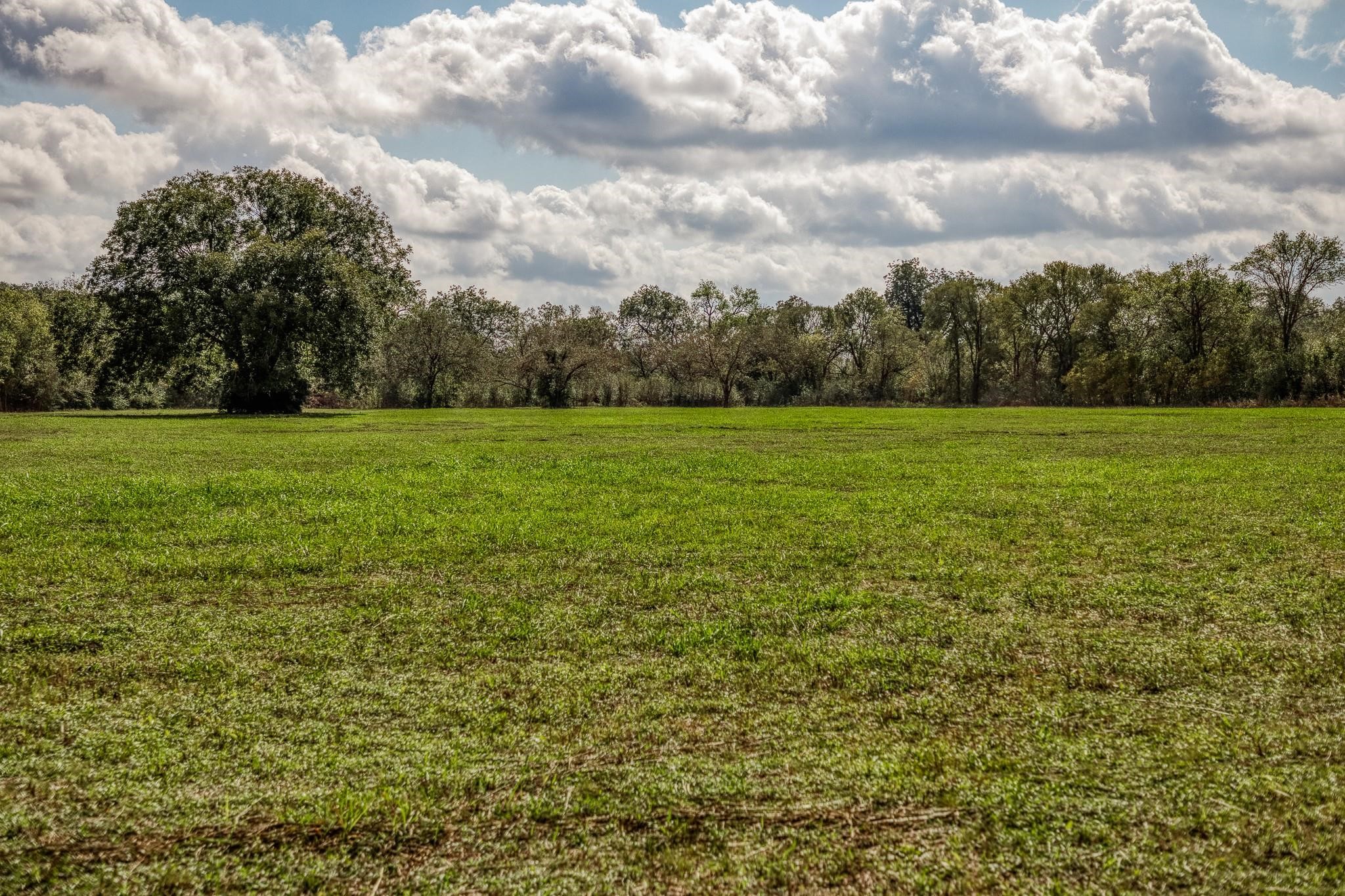 000 Sun Oil Road Property Photo 6