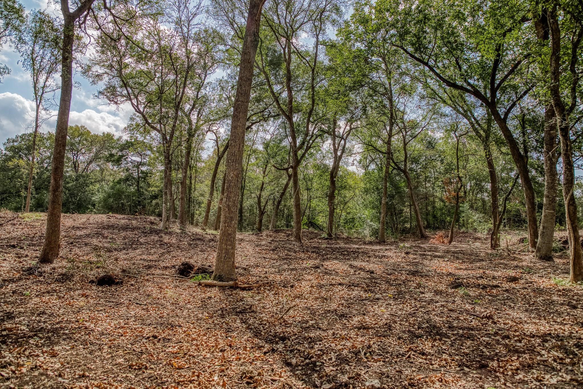 000 Sun Oil Road Property Photo 15