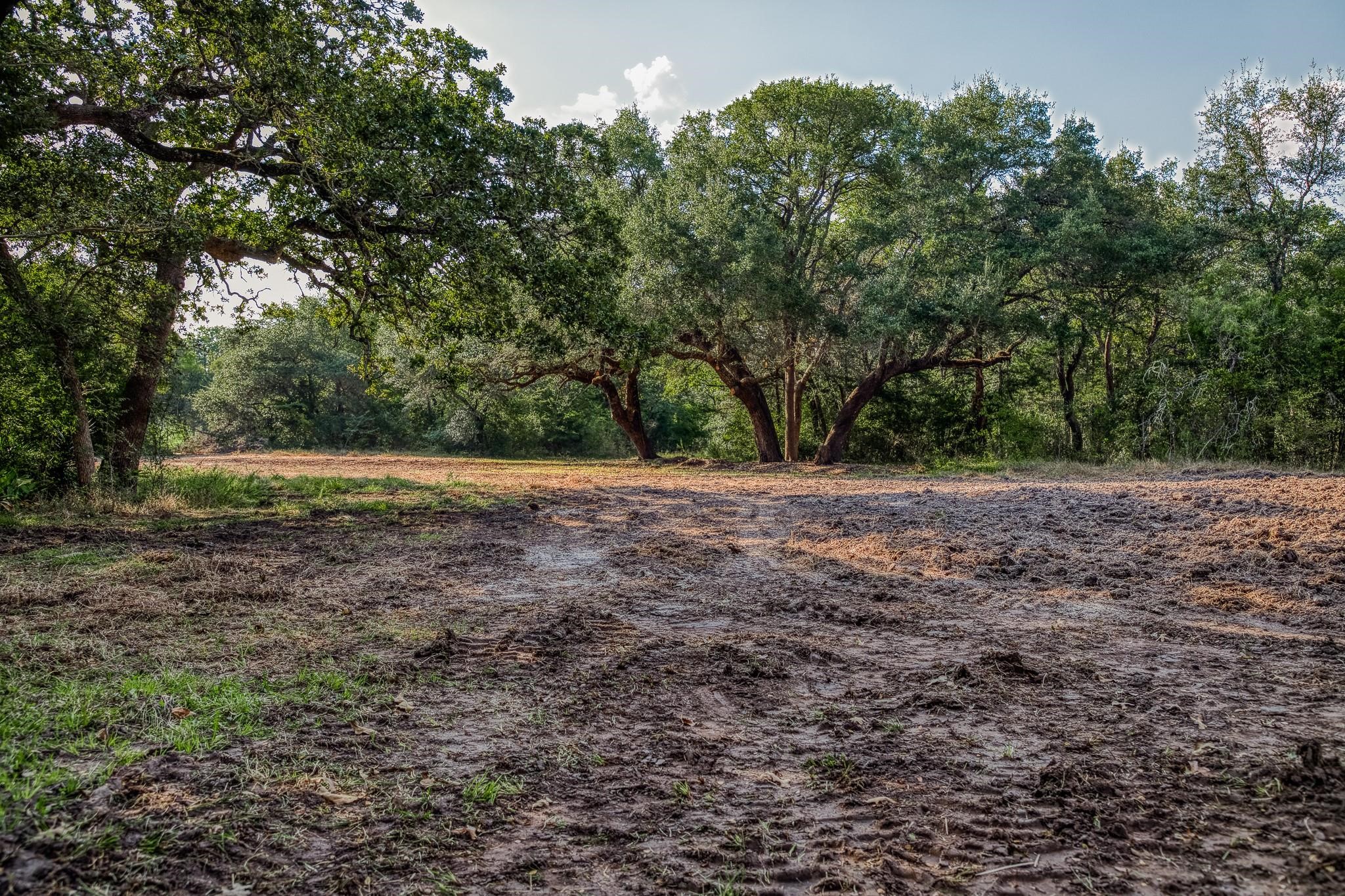 000 Sun Oil Road Property Photo 17