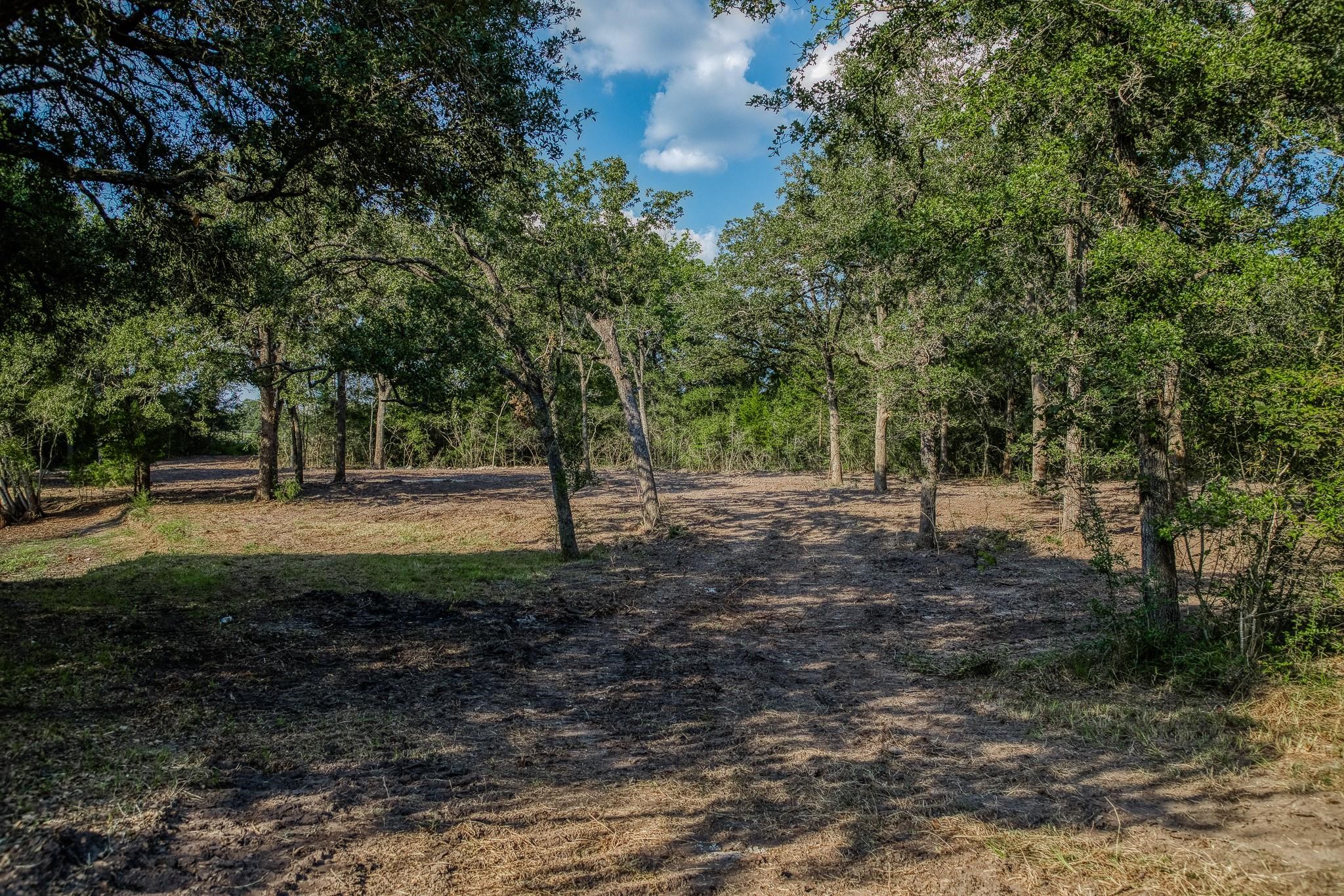000 Sun Oil Road Property Photo 19