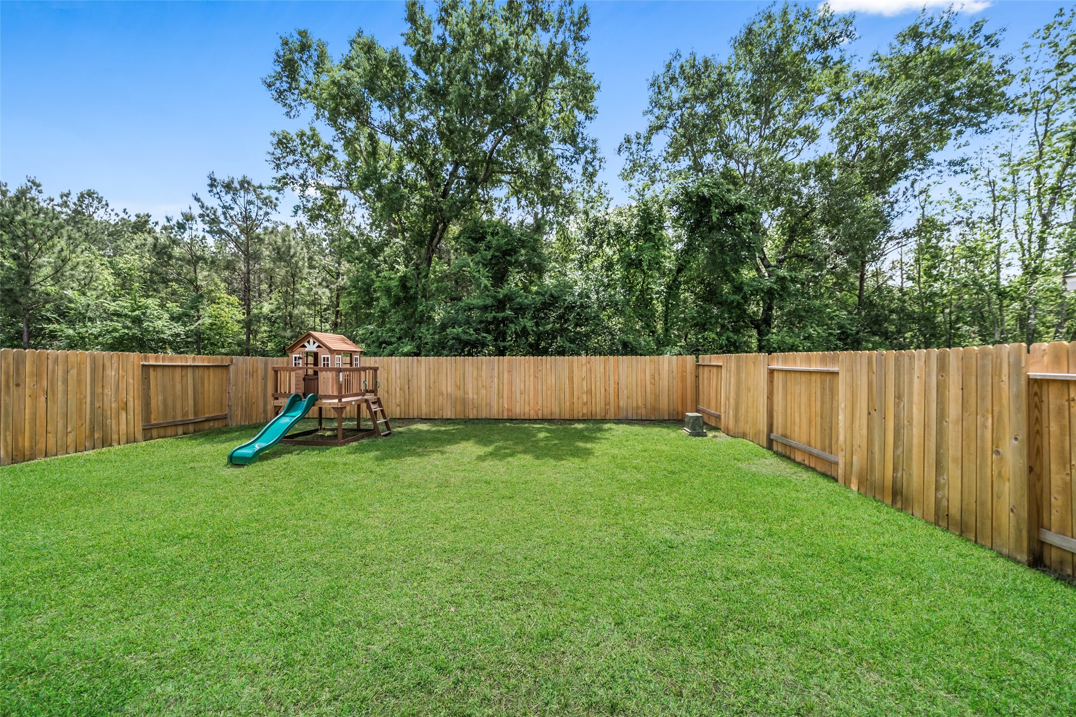 9985 Mountain Lion Lane Property Photo 12