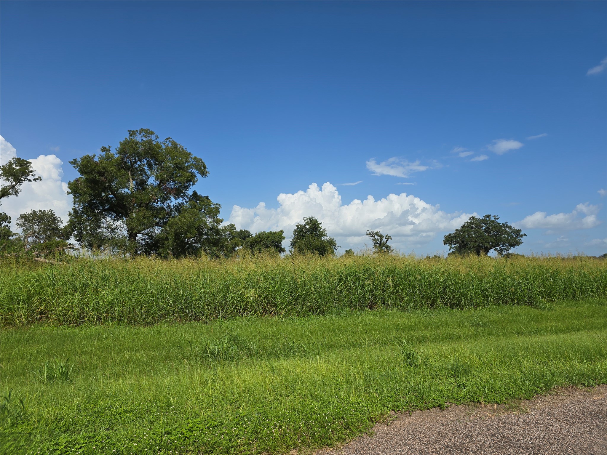 17018 Dewberry Lane Property Photo 1