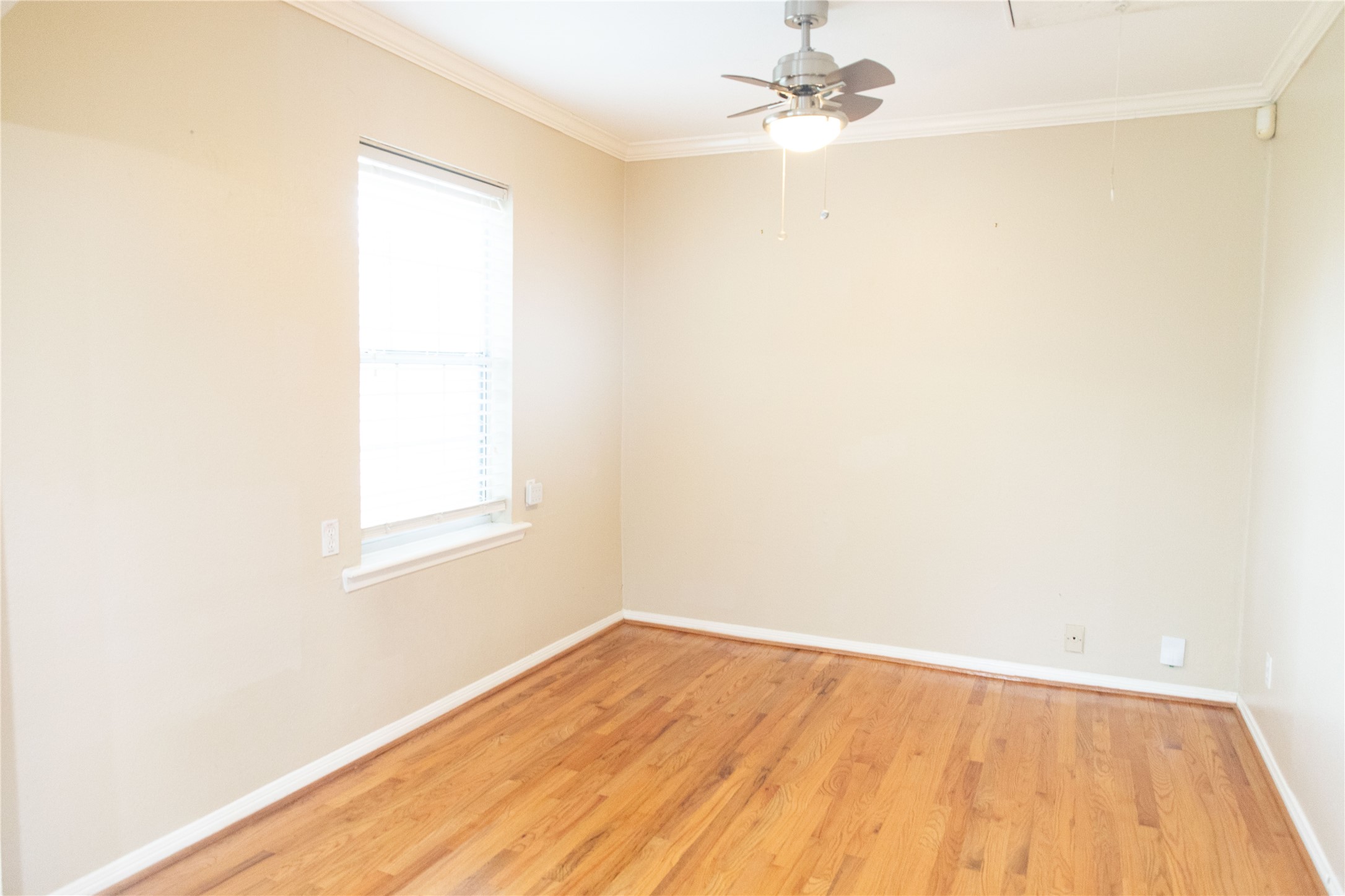 5564 Aspen Street Property Photo 30