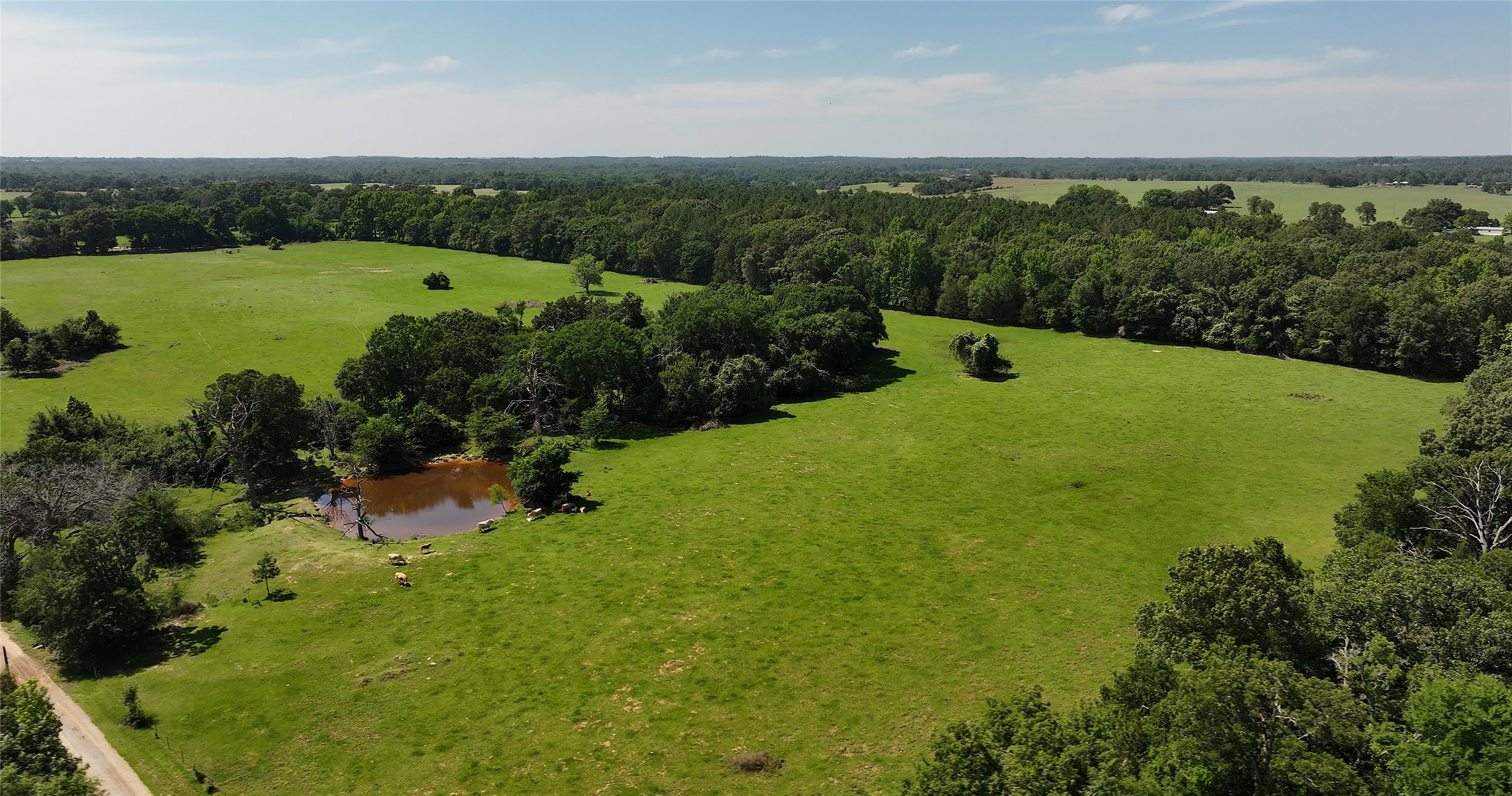 0000 An County Road 430 Property Photo 5
