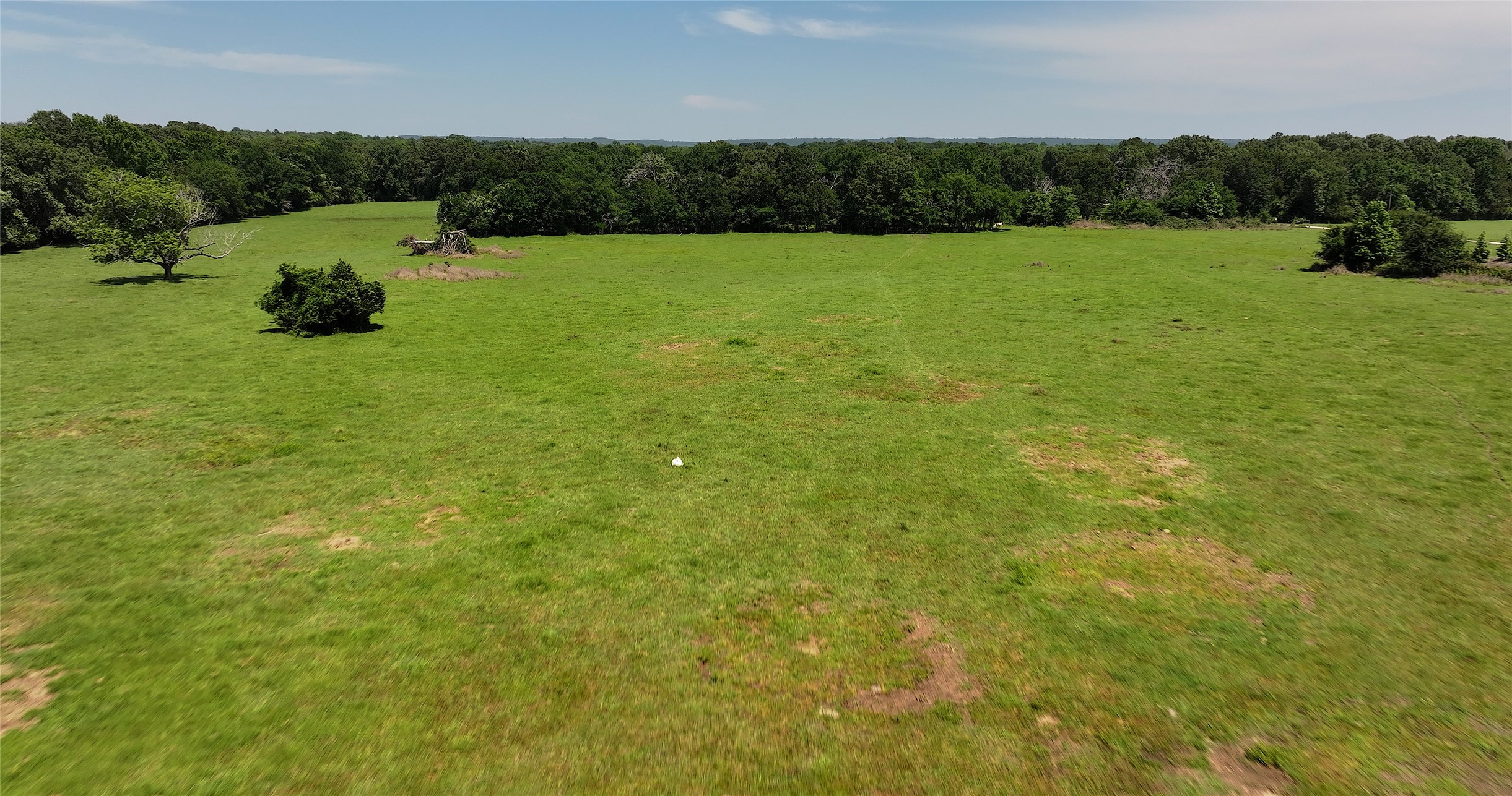 0000 An County Road 430 Property Photo 12