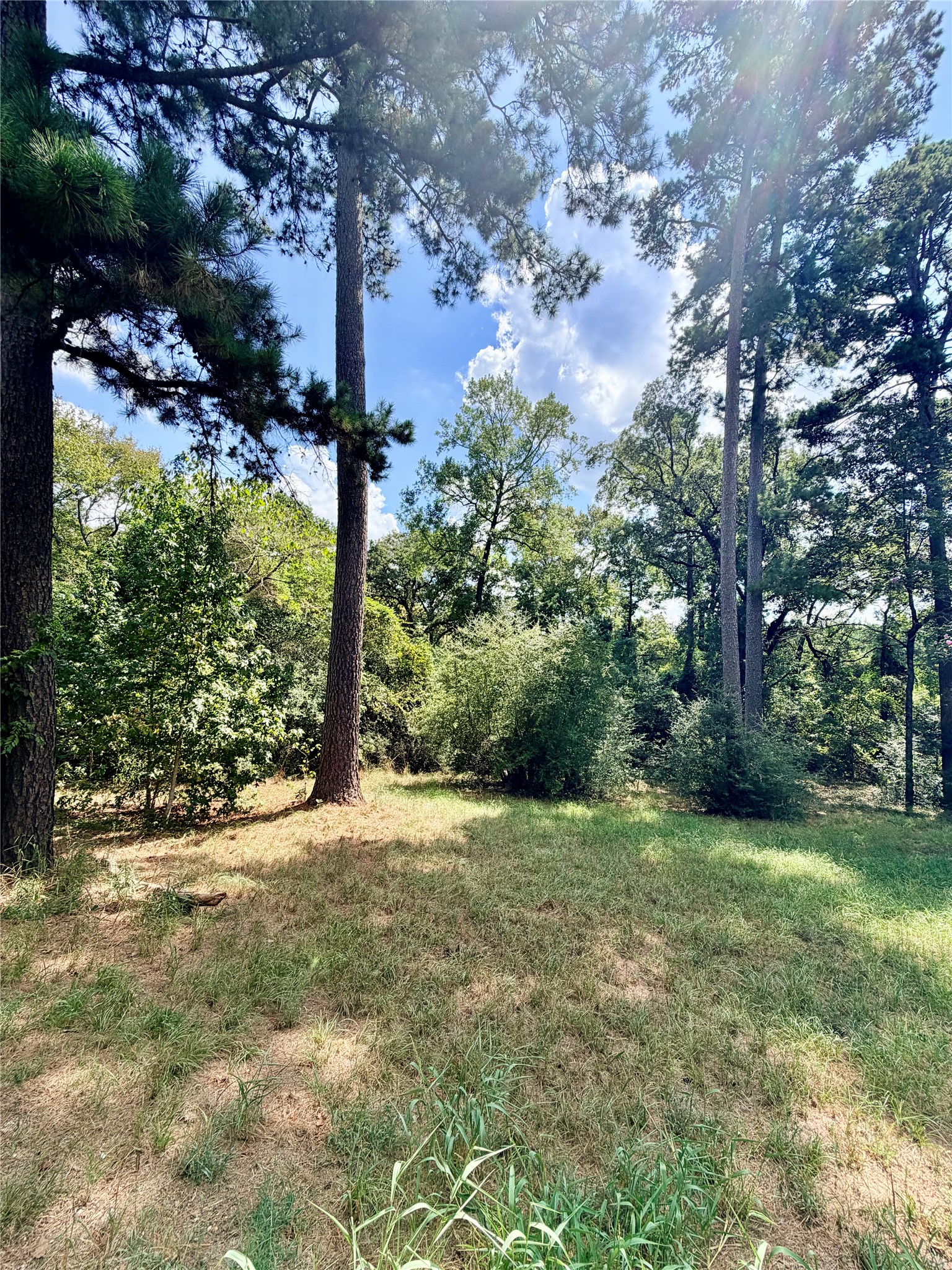 10652 Fm 2022 N Property Photo 24