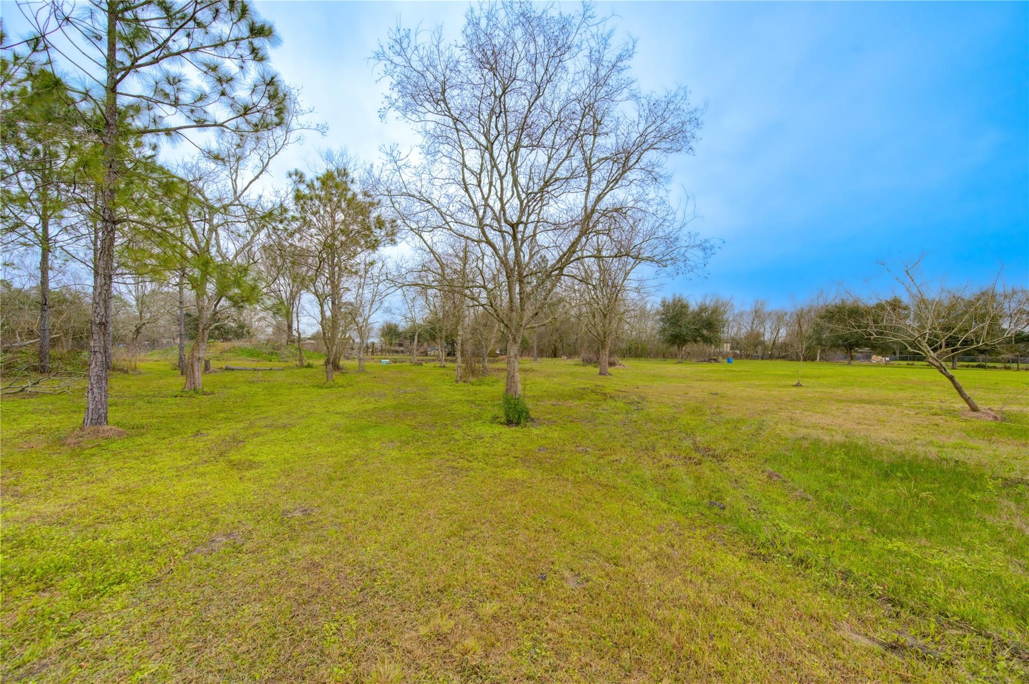 2923 County Road 292 Property Photo 34
