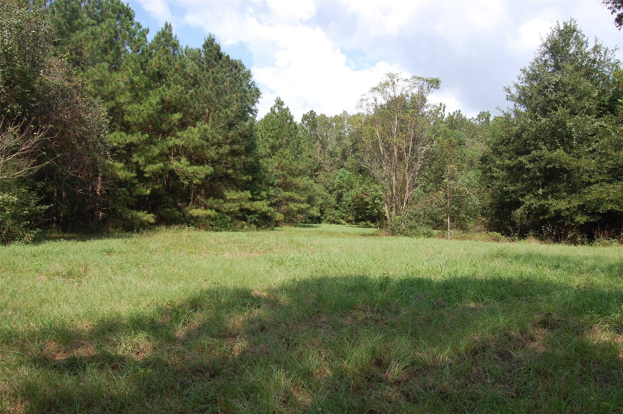 20075 Forestview Drive Property Photo 1