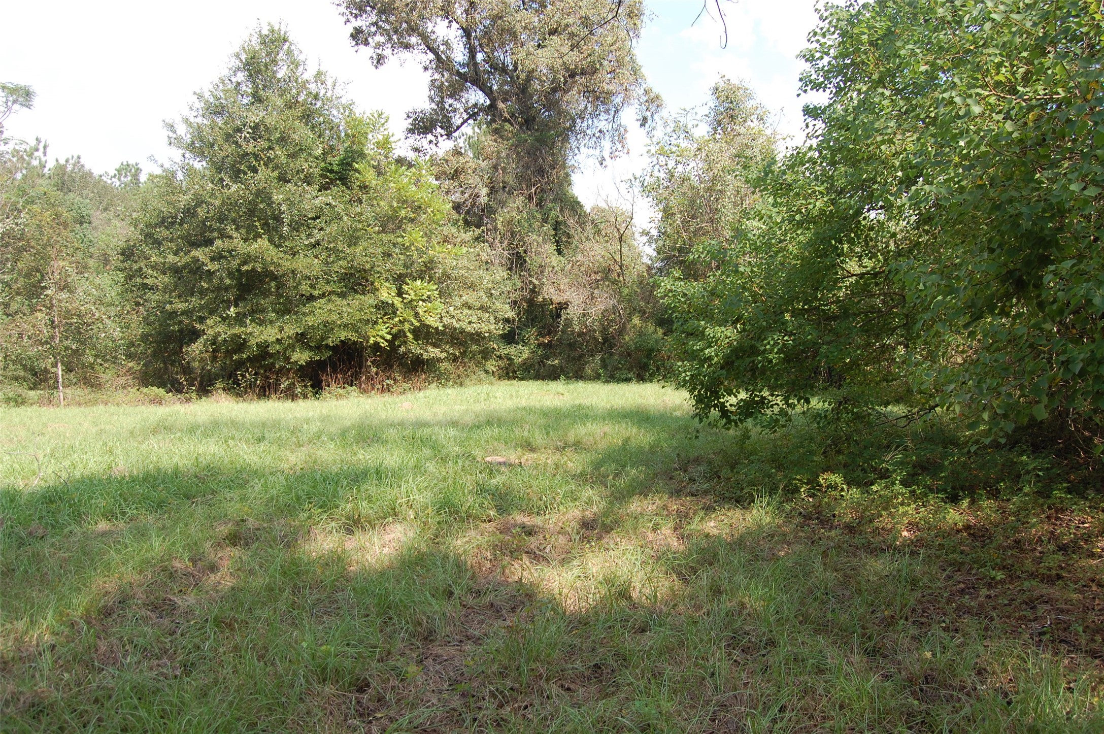 20075 Forestview Drive Property Photo 2