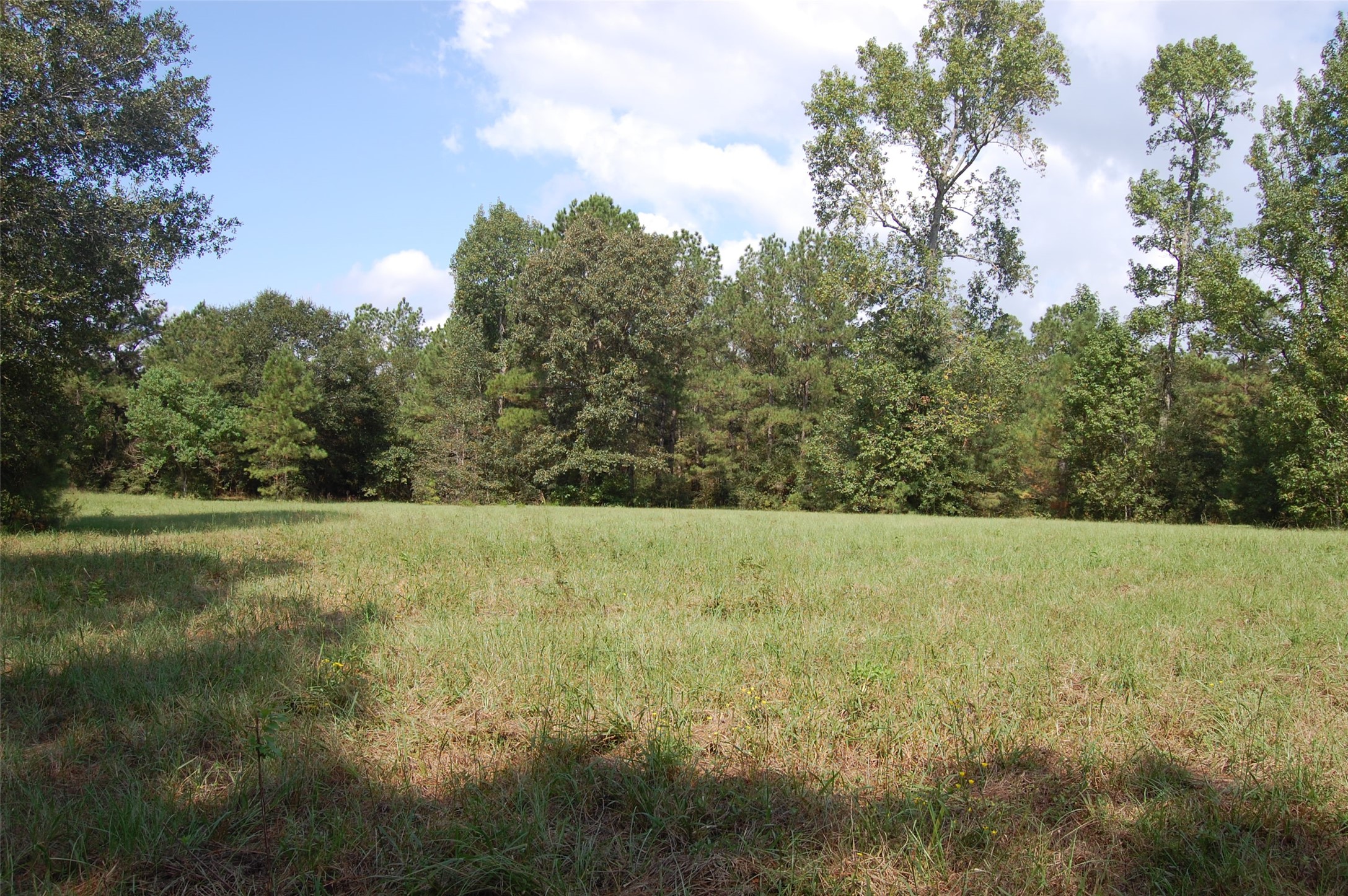 20075 Forestview Drive Property Photo 3